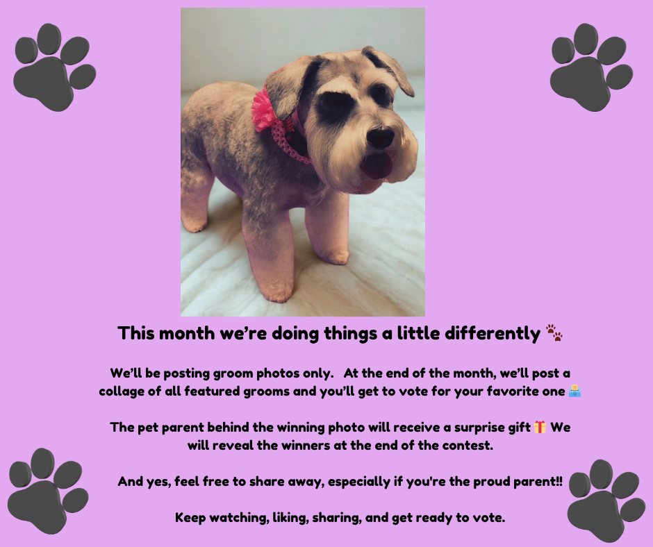 This month we’re doing things a little differently 🐾
We’ll be posting groom photos only. At the end of the month, we’ll post a collage of all featured grooms and you’ll get to vote for your favorite one 🗳️
The pet parent behind the winning photo will receive a surprise gift 🎁 We will reveal the winners at the end of the contest.
And yes, feel free to share away, especially if you're the proud parent!!
Keep watching, liking, sharing, and get ready to vote.