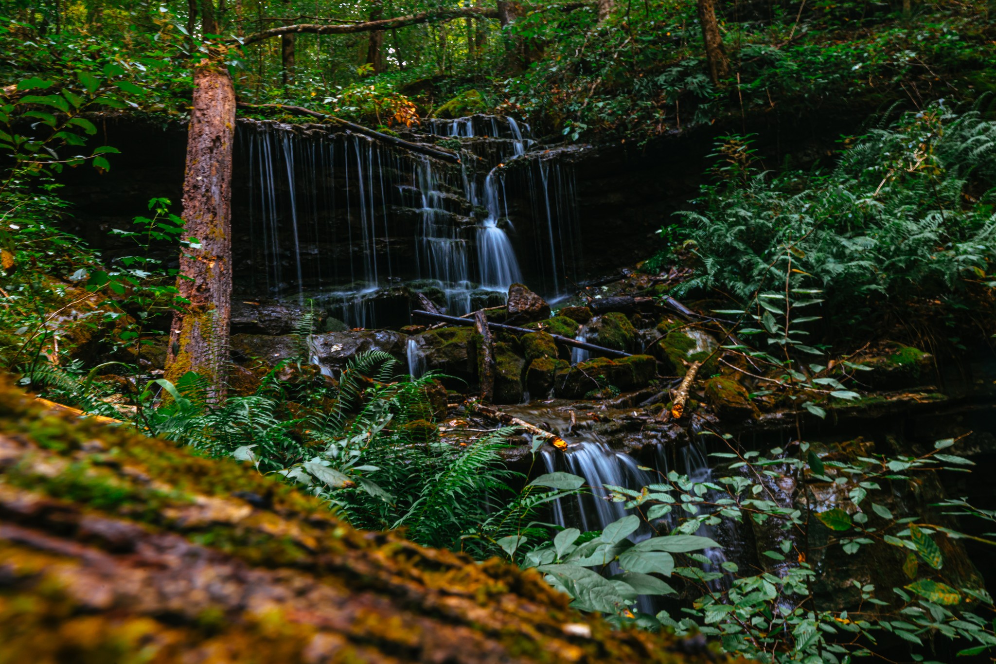 School’s out, and the mountains are calling!☀️
Trade screens for sunshine and let the kids run wild in Tennessee’s South Cumberland. From waterfall hikes to picnic spots and wide-open trails, this is where summer memories begin.
💧 Splash in waterfalls
🥾 Hit the trails
🌄 Soak in the views
Pack the snacks, grab the family, and make it a week they’ll never forget.
📍 Plan your outdoor adventure today: https://www.mountainsofadventure.com/do/outdoor-adventures
.
.
#SchoolsOut #SummerInTennessee #FamilyAdventures #ExploreSouthCumberland #OutdoorFun #VisitTennessee