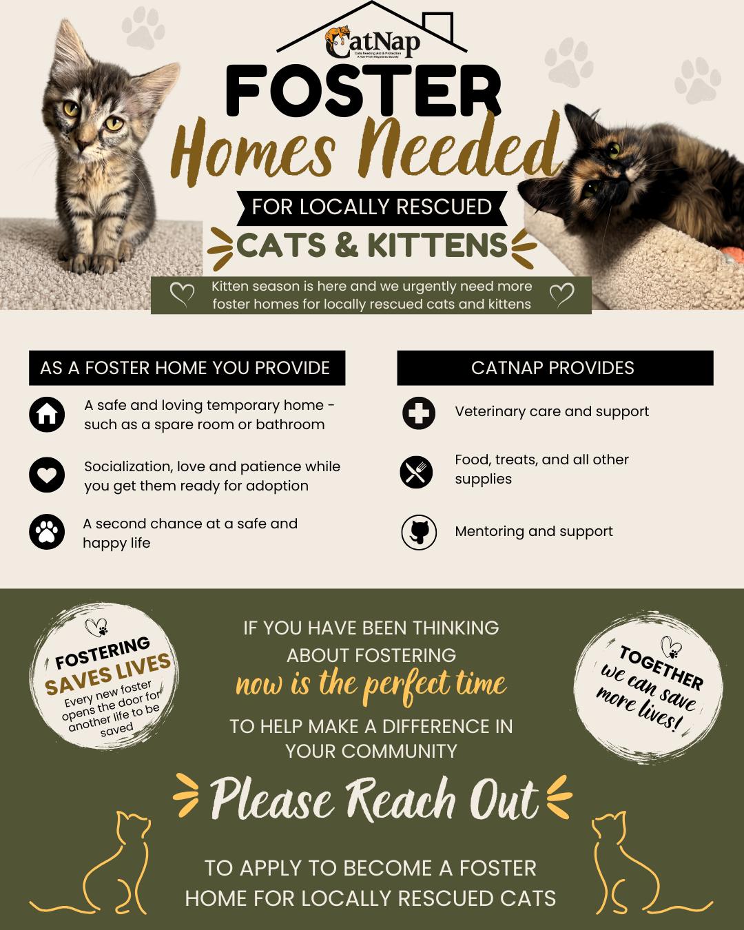 CatNap is Looking for Foster Homes!
‘Peak season’ is right now for cat rescue and that means Foster Homes are needed more than ever.
Our needs range from kittens requiring bottle feedings to under-socialized cats who need positive interactions with people in a home setting.
Every year hundreds of cats and kittens from the Nanaimo/Lantzville to Ladysmith area are helped by CatNap.
The more foster homes we have, the more local cats and kittens we can help!
All you need is a small space (spare room, bathroom, den, etc.) along with some love and patience.
Fostering saves two lives at once- for the cat you opened up your home to and the one who can come into care next.
CatNap provides food, litter and other supplies as well as all medical care for all cats and kittens in care.
We have a great team of foster homes who can share advice and offer support.
Please consider joining us and fostering with CatNap Society.
Get started by filling out a volunteer application form found at the following link: https://www.catnapsociety.com/volunteer
We look forward to hearing from you and showing you how rewarding fostering can be.