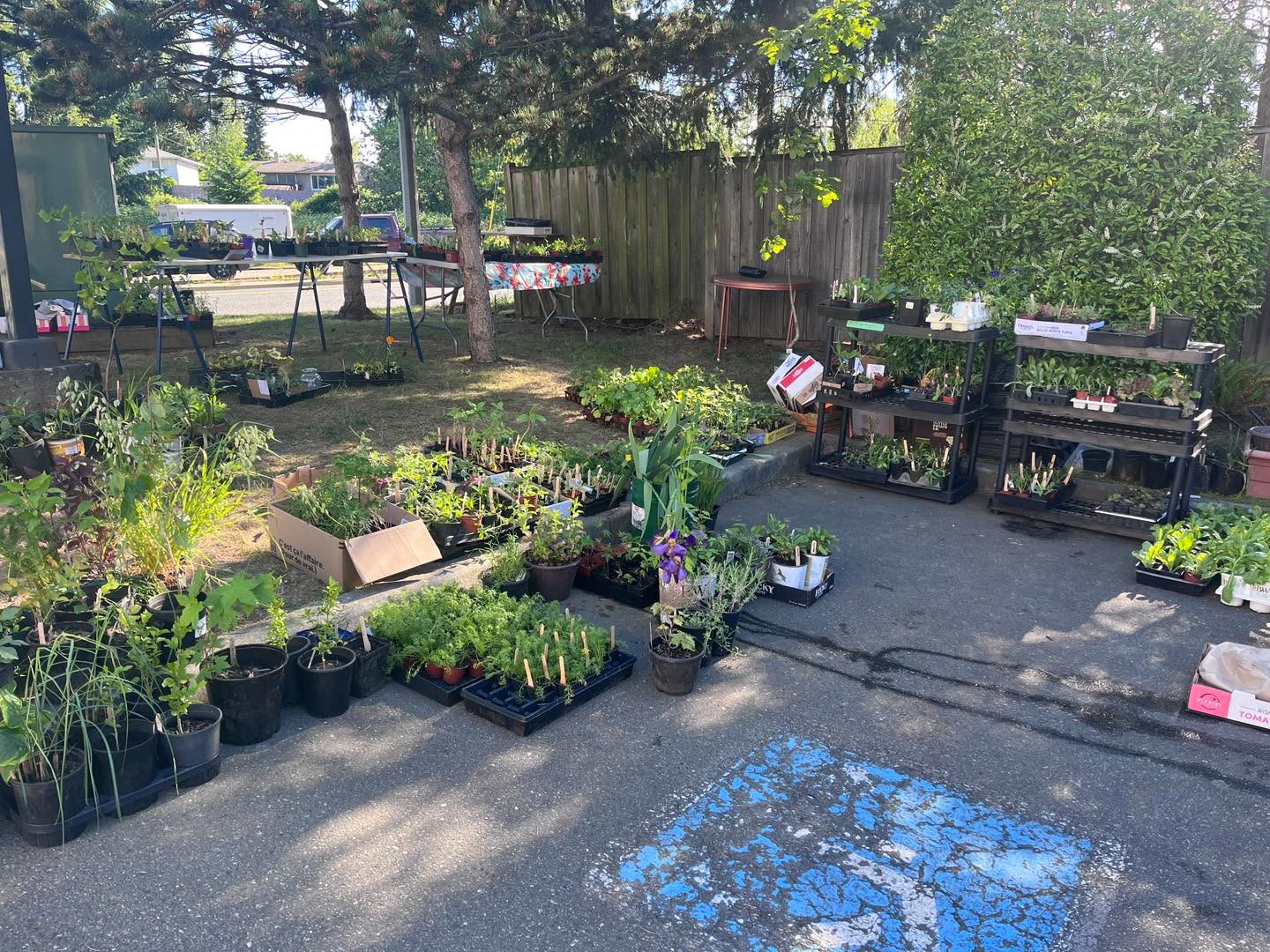 The CatNap Garage and Plant Sale is back this morning from 9-12 at 2109 Meredith Road
Come find treasures and plants in support of locally rescued cats