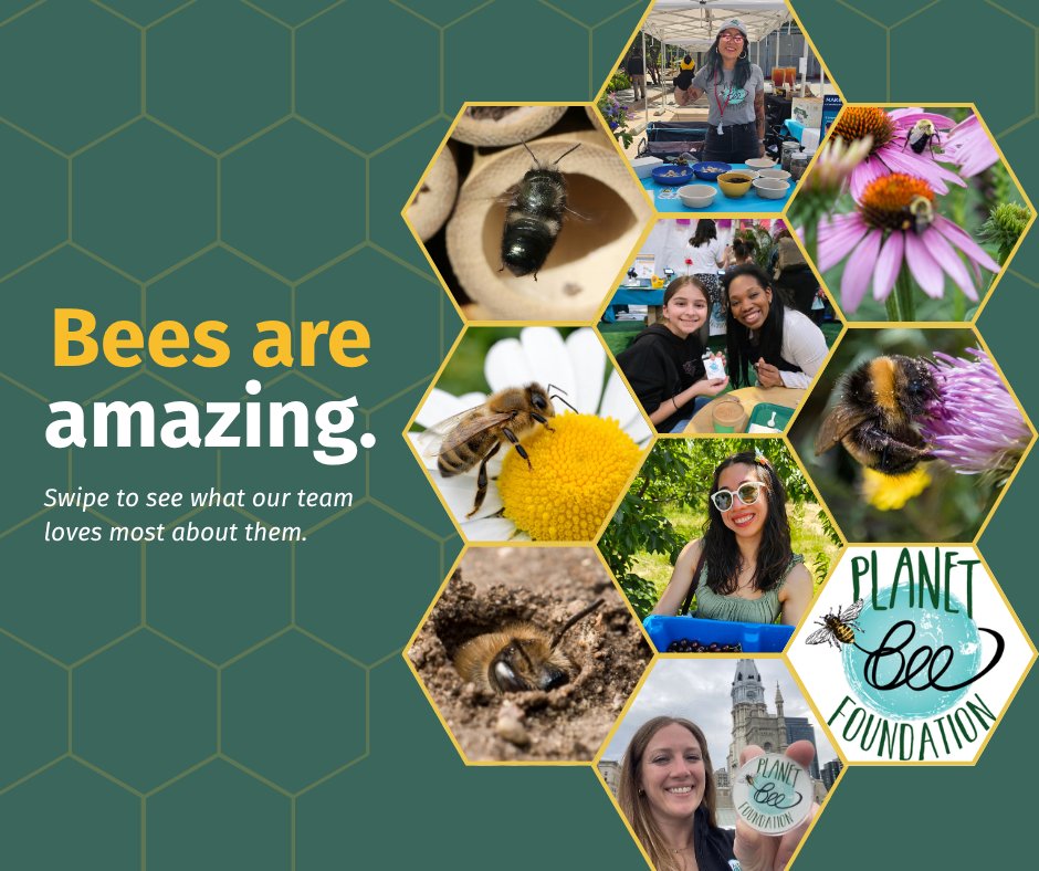 Happy World Bee Day! 🐝 We are buzzing with love for these tiny, mighty pollinators today (and every day).
Our team shared their favorite things about bees, which made us wonder, what's yours? Drop it in the comments! 👇
#bees #worldbeeday #pollinator #savebees #nativebees