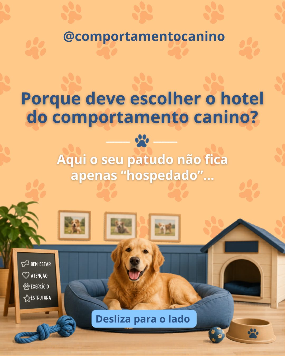 Cada estadia é pensada para garantir tranquilidade, conforto, segurança e acompanhamento constante, respeitando sempre o bem-estar emocional de cada cão.
✔️ Ambiente familiar e equilibrado
✔️ Presença humana contínua
✔️ Quartos amplos e confortáveis
✔️ Rotinas semelhantes às de casa
✔️ Muito carinho, atenção e cuidado
✈️ Com a chegada das férias as vagas podem ser limitadas.
Garanta a estadia do seu melhor amigo com antecedência…