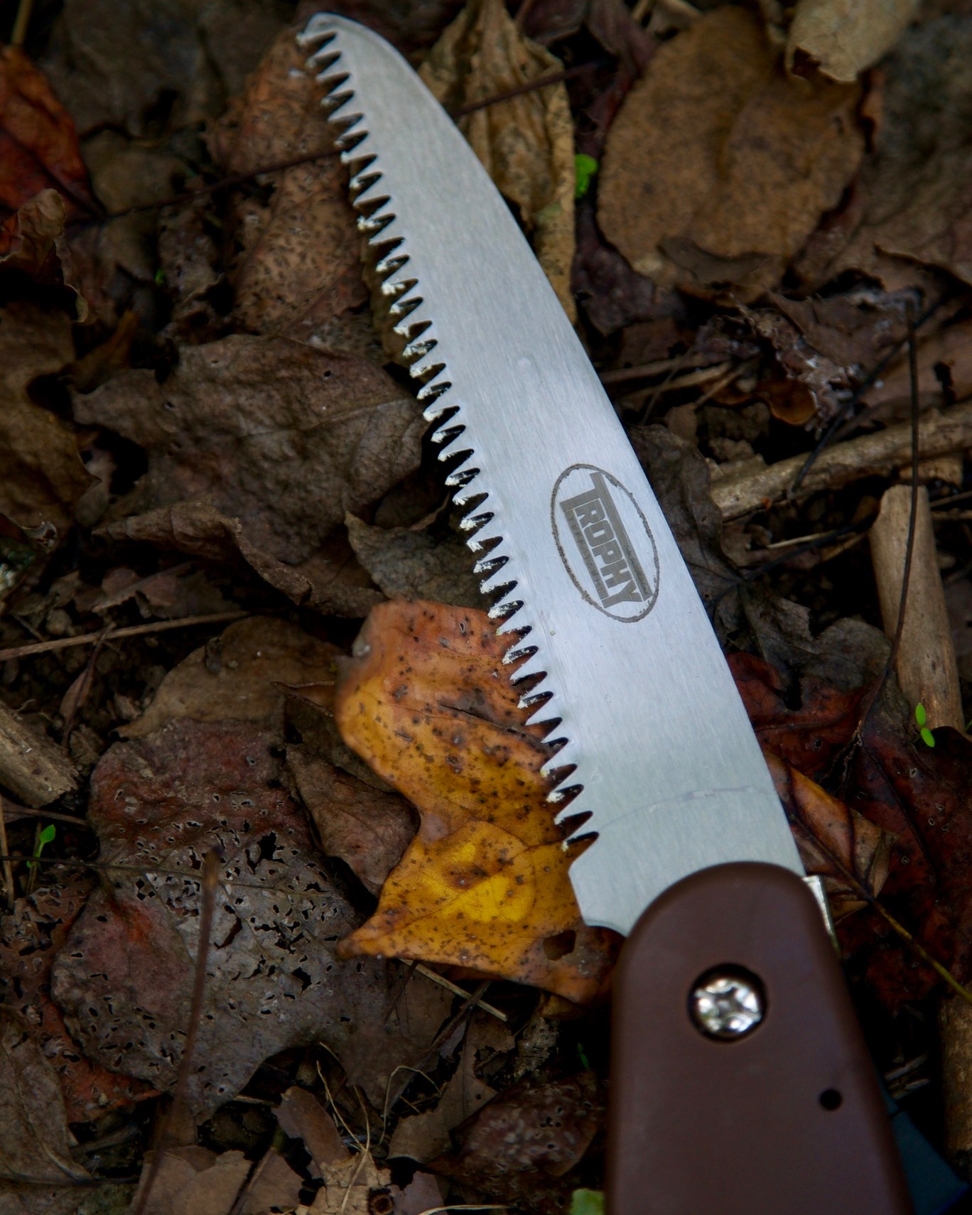 The Outfitter Saw is a must-have tool for this time of year! Whether you're checking treestands or hanging a new one, a good hunter knows to keep this handy. Check out our accessories section while browsing for your next treestand online.
#outdoors #whitetail #hunting #huntingseason #treestands #deerszn
