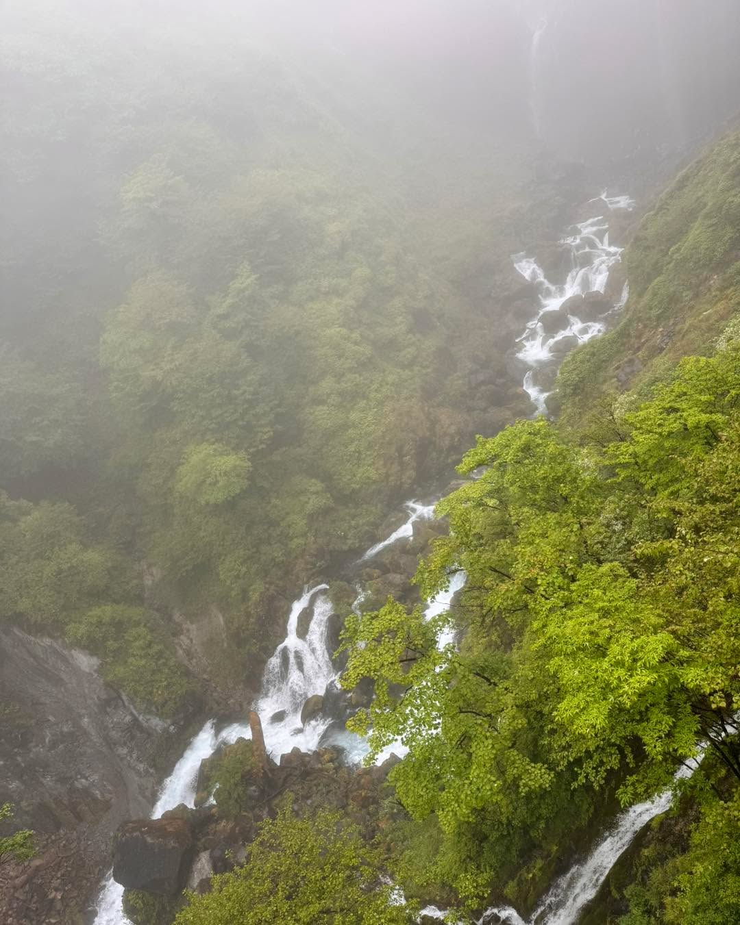 Scenes from the citizen delegation’s visit to Nikko National Park! Beautiful 😍 #beautifuldestinations #SCAS #ashikaga #SisterCity #culturalexchangeadventure #ThankYouAshikaga #SquadGoals #Friendship #Springfield #sistercity