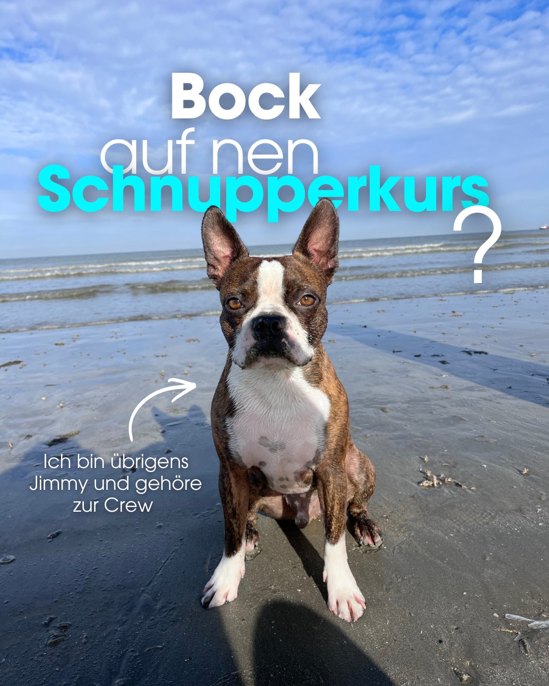 🐶 🚤 | Schnupperkurse zum Bootfahren |
Das ist Jimmy. 🐶🌊
Jimmy schnuppert gern, um Neues zu entdecken.
Sei clever. Sei wie Jimmy.
⚓️ Komm zum Schnupperkurs
🌊 Sammle erste Erfahrungen am Steuer
👀 Und finde heraus, ob Bootfahren dein Ding ist
🎁 Oder verschenke ein ganz individuelles Bootserlebnis
Ganz entspannt. Ohne Vorwissen. Einfach ausprobieren.
Manchmal reicht ein Tag auf dem Wasser, um ein neues Hobby zu finden.
📍 Direkt in Offenbach am Mainufer – Dein Start ins Bootfahren war noch nie so nah.
👉 Alle Infos & Buchung auf www.fahrboot.de
#bootfahren #bootsführerschein #frankfurt #offenbach #offenbachammeer #boot