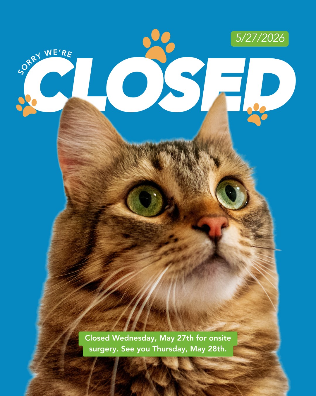 We are closed today, Wednesday, May 27th for onsite surgery. See you tomorrow, normal hours, 10am-6pm.