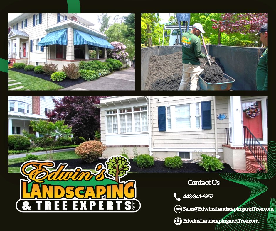 Fresh mulch, crisp edges, and beautifully maintained beds can completely transform the look of your home!
At Edwin’s Landscaping & Tree Experts, we take pride in creating clean, polished landscapes that boost curb appeal and make your outdoor space stand out all season long. From mulch installation to full landscape maintenance, our team is here to bring your vision to life.
📞 Ready to refresh your yard? Contact us today for a free estimate!
#Landscaping #MulchInstallation #CurbAppeal #LandscapeDesign #EdwinsLandscapingandTreeExperts #OutdoorLiving #HomeImprovement #TreeExperts