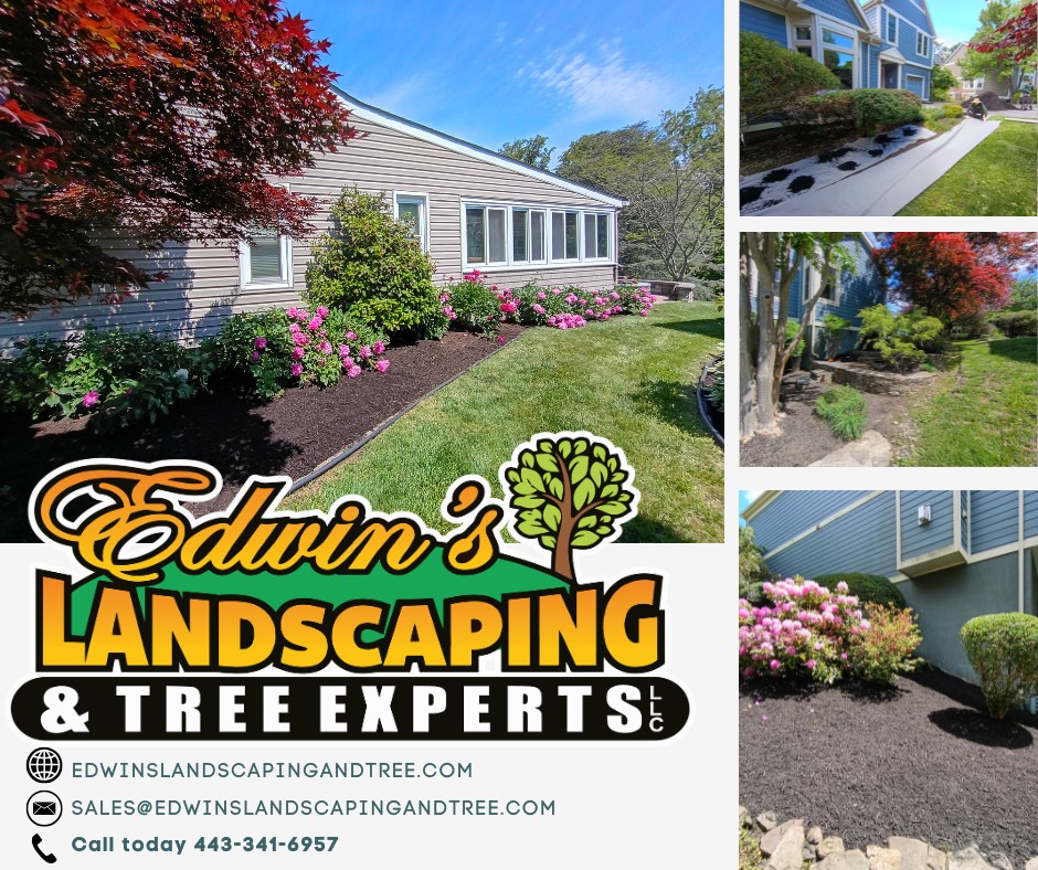 A well-designed landscape does more than look good,it completely changes how a home feels. This project combined fresh dark mulch, colorful seasonal plantings, clean bed lines, and detailed finishing touches to create a landscape that feels polished, vibrant, and welcoming from every angle. 🌸🌿
At Edwin’s Landscaping & Tree Experts, we believe every property deserves that “wow” moment when you pull into the driveway.
If your yard needs a refresh, cleanup, or full transformation, our team is ready to help make it happen.
📍Serving homeowners with professional landscaping done right
📞 443‑341‑6957
📧 Sales@EdwinsLandscapingandTree.com
🌐 EdwinsLandscapingandTree.com
#LandscapeGoals #BeforeAndAfter #FreshMulch #LandscapeMakeover #OutdoorBeauty #CurbAppealMatters #EdwinsLandscapingandTreeExperts #LandscapeProfessionals #BeautifulYards #MarylandHomes