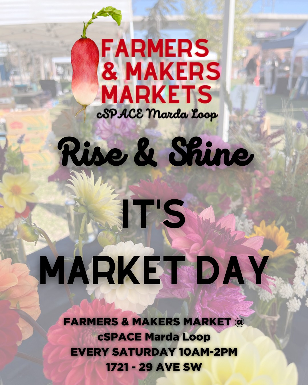 Rise and shine, Calgary! ☀️☕
The coffee is brewing, the tents are going up, and the Art Park at cSPACE Marda Loop is coming alive. It is officially Market Day!
Whether the blue skies are out or we’ve got a bit of classic Calgary weather on the way, we are ready for you. We’re a hearty bunch, and our incredible lineup of local farmers, bakers, makers, and artisans can't wait to see you.
Grab your reusable bags, lace up your walking shoes, and come kick off your weekend with the best local community vibes in the city.
Stop by our market booth say hi and ask about "Friend of the Market" Loyalty Card
See you in a few hours! 👋✨
🗓️ Quick Checklist:
⏰ Time: 10:00 AM – 2:00 PM
📍 Location: cSPACE Marda Loop (in the Art Park)
@cspace.mardaloop @backyardbounty_yyc @rollwithitbaking @curiocitycalgary
#shoplocalyyc #farmersmakersmarkets #yycfarmersmarket #yyclocal #calgarylife #buyalberta #yycnow #mardaloopmadeyyc