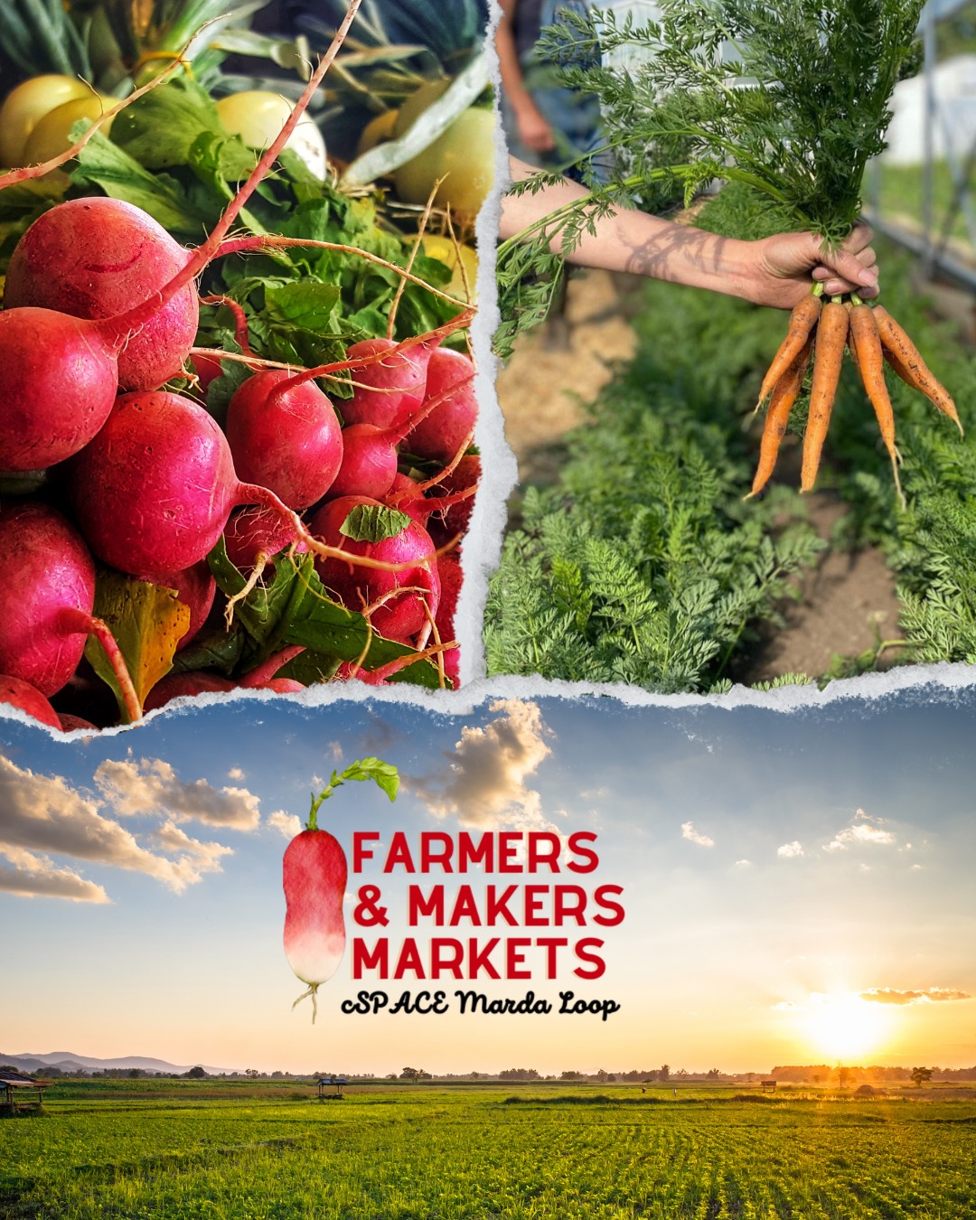 There is something truly magical about a Saturday morning spent wandering the market. ✨ From the smell of fresh coffee and pastries in the air to catching up with the incredible farmers, makers, and artisans who pour their hearts into what they do—it’s more than just shopping. It’s the heartbeat of our community right here in the Art Park.
We love building this space for you, and if you’ve been looking for a way to show some extra love to your favourite weekend tradition, we have just the thing!
Have you picked up your "Friend of the Market" Loyalty Card yet?
For a $10 donation, you get access to some seriously amazing vendor discounts and perks when you shop. But it goes so much deeper than that. Every single card purchased directly supports the market itself. It helps us keep this community hub thriving, allows us to host local non-profits at our community tables, and keeps the market running strong all season long—rain or shine! 🌦️
It’s the ultimate win-win: you get to save a little while doing a lot of good for your local community.
Drop by the market booth this Saturday to grab yours, or check out the link in our bio to learn more!
The Farmers' & Makers Market is every Saturday from 10am to 2pm at cSPACE Marda Loop 🌻
#shoplocalyyc #farmersmakersmarkets #yycevents #yycmarkets #mardaloop #yycnow #yyclocal #farmersmarket