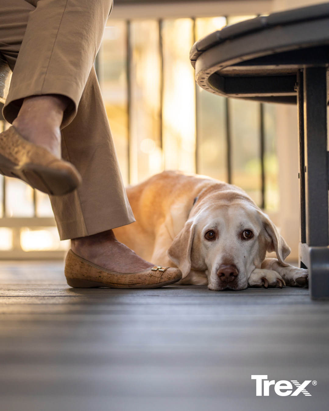 How cute is this baby? Trex is always pushing outdoor living forward, and their SunComfortableโข heat-mitigating technology helps keep your deck cooler and more comfortable all summer long. โ๏ธ๐ก
Ready to upgrade your backyard? Give us a call to get started.