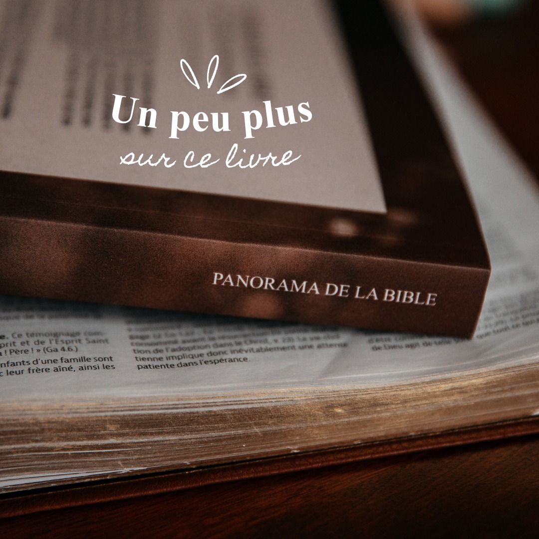 Il est beau 🤩 n'est-ce pas?!
Un outil pour découvrir la Bible par soi-même, un livre à la fois!
Disponible sur mon site web
#UnePetiteInfluence #FemmesDeFoi #Chretienne #Evangile #LivresChretiens #Bible