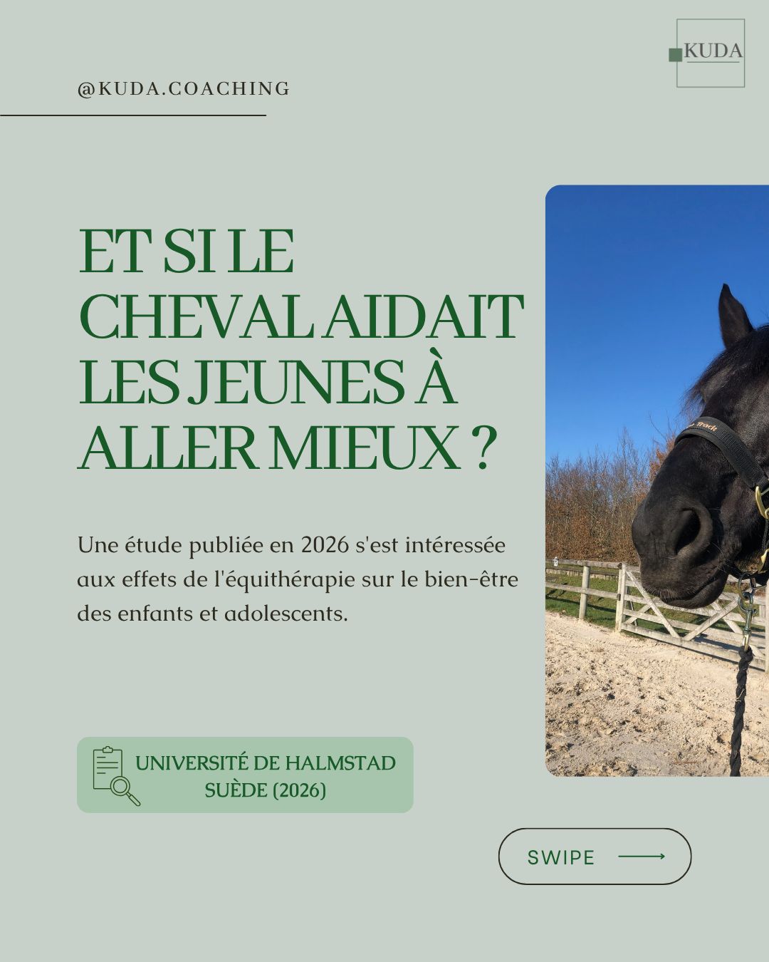 Une étude suédoise met en évidence les effets positifs de l'équithérapie sur le bien-être et la confiance des jeunes participants.
Des résultats encourageants qui soulignent la richesse de la relation homme-cheval.
💬 Quel élément vous paraît le plus précieux dans le travail avec le cheval ?
#equitherapie #mediationequine #equicoaching #confianceensoi #gestiondesemotions #bienetrejeunesse #santeemotionnelle #accompagnementeducatif