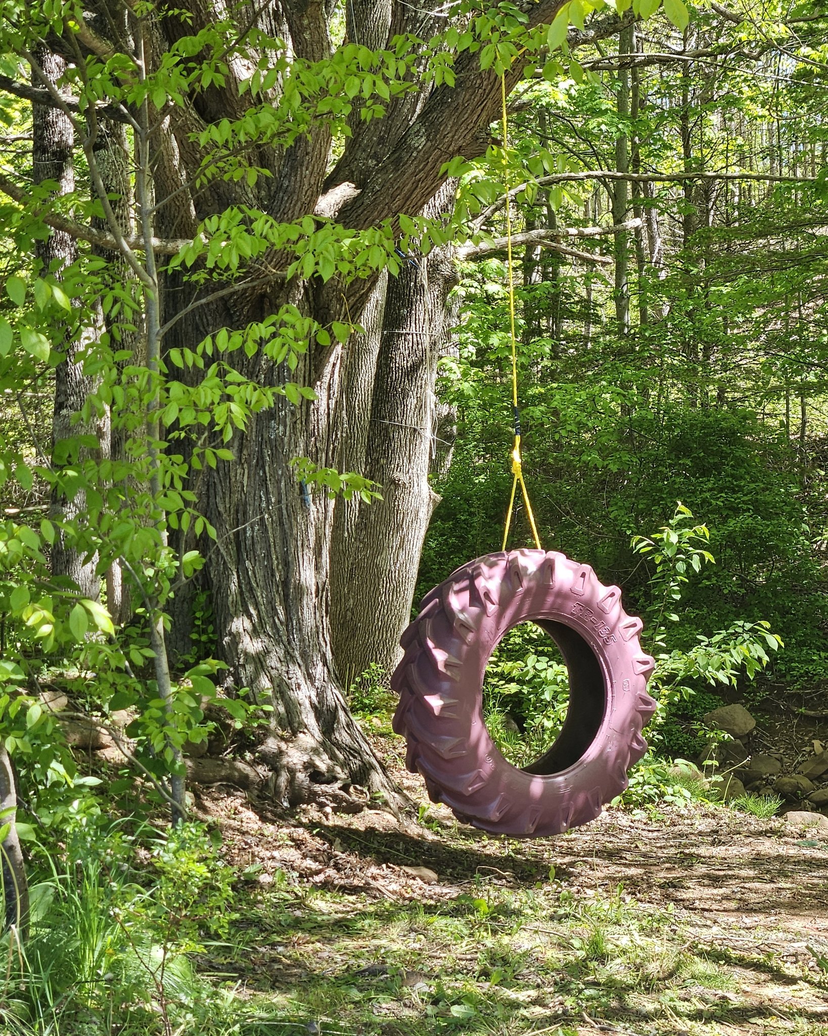 Check out this fun addition to the farm! Take a walk along the Dempseys Trail and discover this old fashioned tire swing 😍