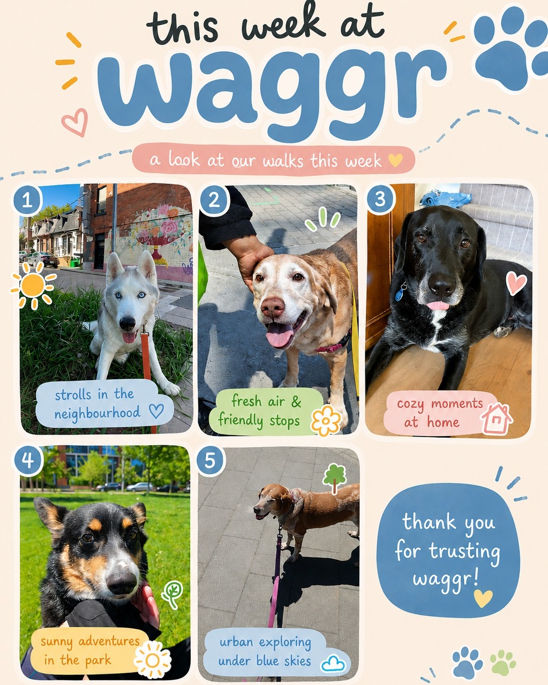 Our Waggr pups made the most of the beautiful weather this week! 🌳☀️
From neighbourhood strolls and city walks to grassy park breaks and relaxing moments under blue skies, it was a week full of fresh air, sunshine, and plenty of outdoor adventures.
We love seeing our pups explore Toronto's parks, pathways, and green spaces while soaking up all the sights, sounds, and springtime sunshine. 🌿✨
Thank you to all of our amazing clients for trusting us with your family members. ❤️
🐾 Professional, insured, and personalized dog walking
📍 Serving Downtown Toronto
💌 Contact us to book a complimentary meet & greet
#Waggr #TorontoDogs #DogWalkingToronto #TorontoDogWalker #DogsofToronto #TorontoPets #PetCareToronto #DogWalks #DowntownToronto #RegentPark #DistilleryDistrict #CorktownToronto #TorontoLife #DogLovers #SpringWalks