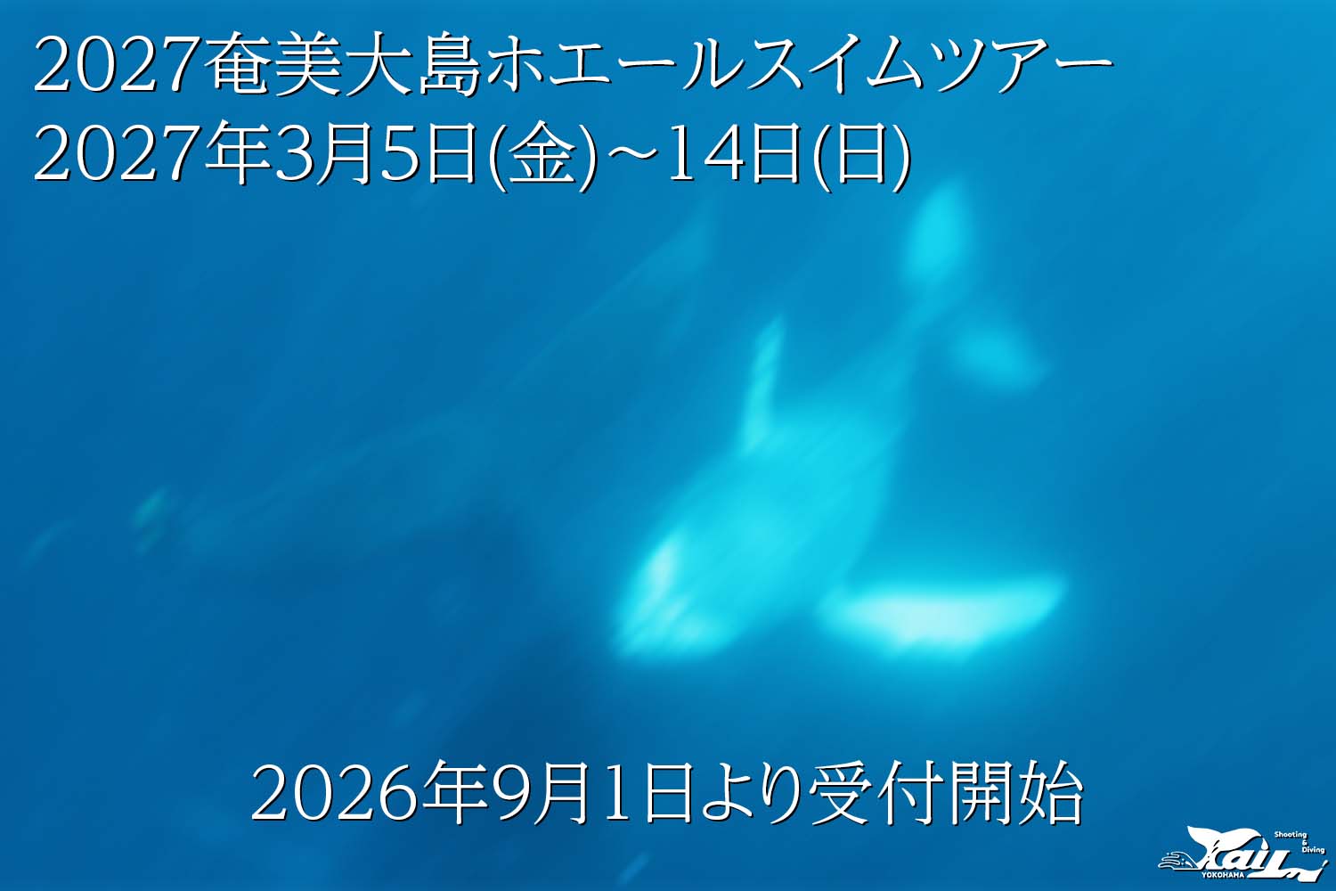 2027奄美大島ホエールスイムツアーの告知です!
2027年は3月5日(金)~14日(日)で開催いたします。
2026年9月1日正午よりプロフィールにあるフォームにてご予約受付開始いたします。
#テール #水中撮影
#クジラ #ホエールスイム
#奄美 #ザトウクジラ #鯨
#hampbackwhale