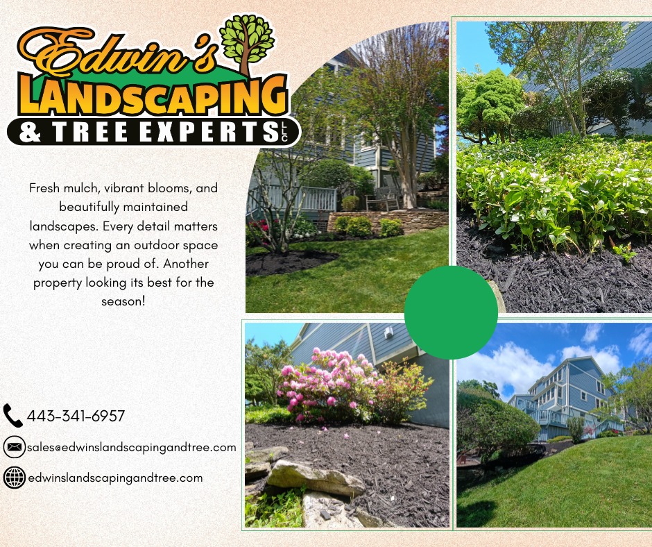 There's something special about a landscape that feels established, polished, and effortlessly beautiful.
This property combines lush greenery, colorful blooms, fresh mulch, and expertly maintained plant beds to create an outdoor space that looks like it belongs in a magazine while still feeling like home.
Our team focused on enhancing the natural character of the landscape, creating clean lines, healthy plantings, and a finished look that will continue to mature beautifully throughout the season.
Because great landscaping isn't just about what you see today, it's about creating a landscape that keeps getting better tomorrow.
Ready to invest in your outdoor space?
📞 443‑341‑6957
📧 Sales@EdwinsLandscapingandTree.com
🌐 EdwinsLandscapingandTree.com
#EdwinsLandscapingandTreeExperts #LandscapeExcellence #OutdoorTransformation #CurbAppealMatters #LandscapeMaintenance #MarylandLandscaping #OutdoorInspiration