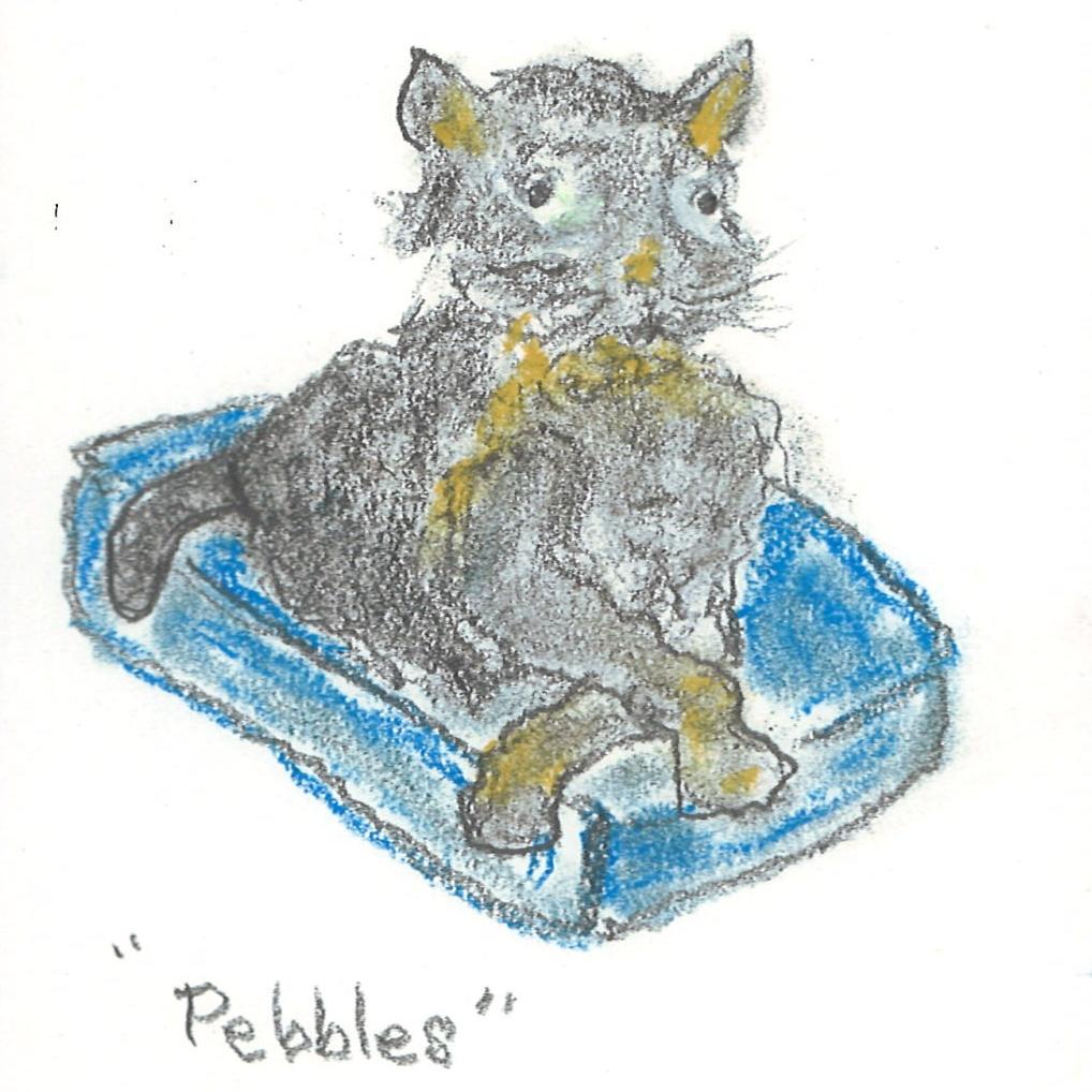 Some of our most memorable Pawtraits from last year's "Pet Pawtrait Roulette"! Which is your favorite?
You can purchase your one-of-a-kind portrait on our website - it's up to chance whether yours comes back as a treasured piece of art or fabulous fridge decor.
Head to capeannanimalaid.org/pawtrait to get yours!