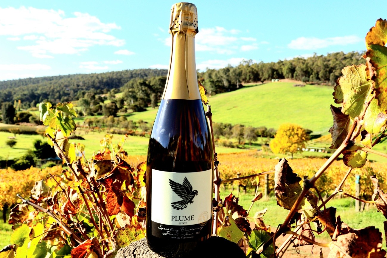 Introducing our newest
Plume Estate Sparkling Chardonnay/Pinot Noir ๐ฅ ๐พ
Available at our cellardoor!
Please check our website for opening hours.