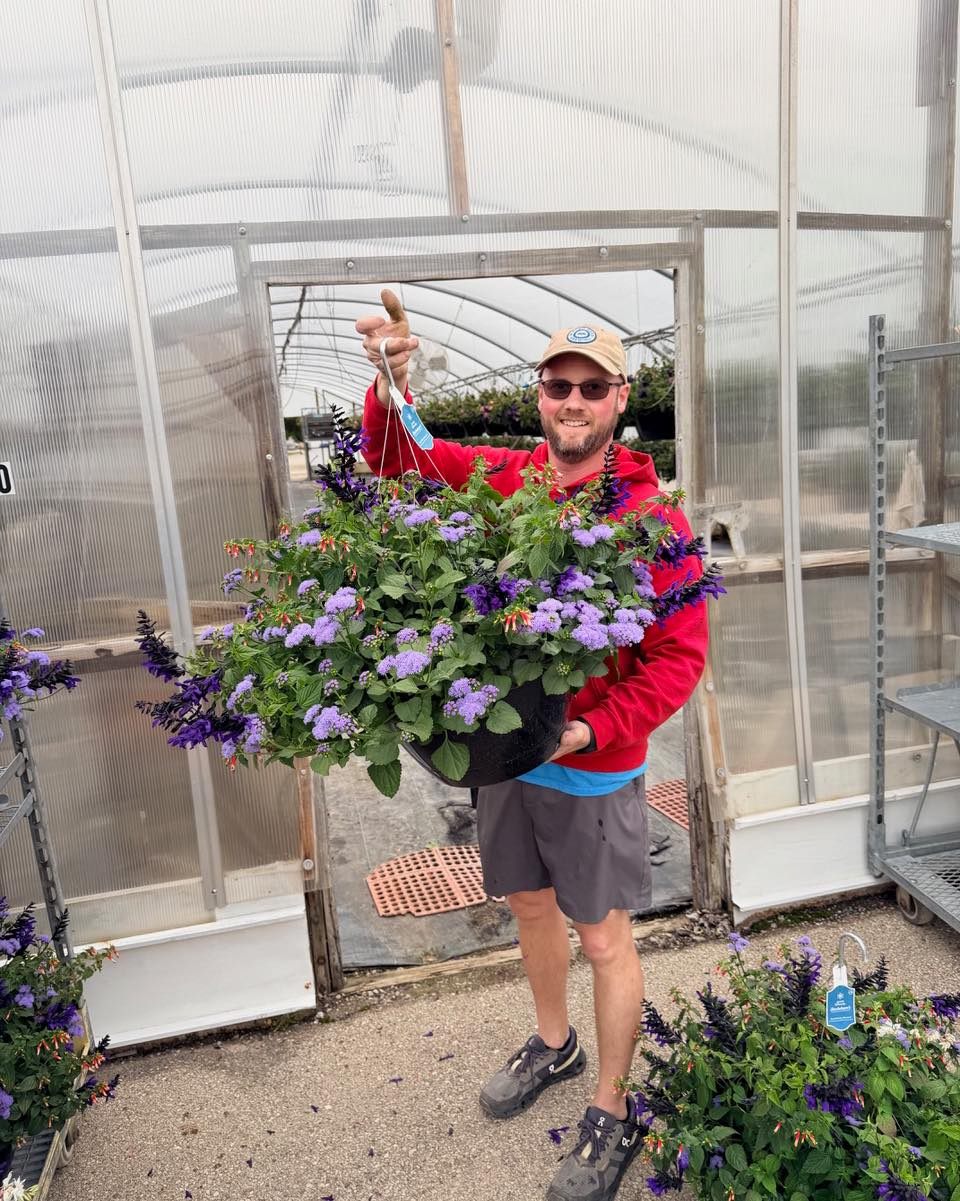 Ever wonder what makes our Buzzworthy Blooms hanging baskets a literal pollinator magnet? 🍯 Every basket was custom-mixed with these high-energy favorites:
Cuphea Hummingbird Lunch 🍹
Salvia Hummingbird Falls 🌊
Ageratum Monarch Magic 🪄
They might not all be Ohio natives, but they sure do the trick! What’s visiting your garden this week?
#BuzzworthyBlooms #PollinatorGarden #Hummingbirds #MonarchButterfly #GardenCenter #Stockslagers #JunePollinatorMonth
