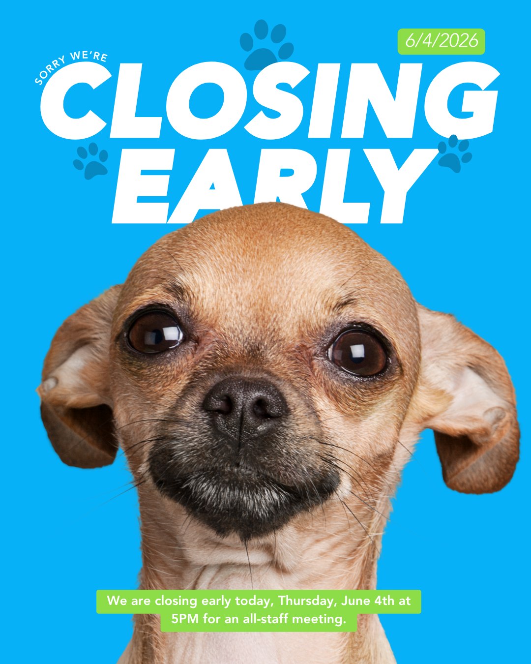 We will be closing early today, Thursday, June 4, at 5:00 PM for a staff meeting. Thank you for your understanding, and we look forward to serving you during our regular business hours tomorrow!