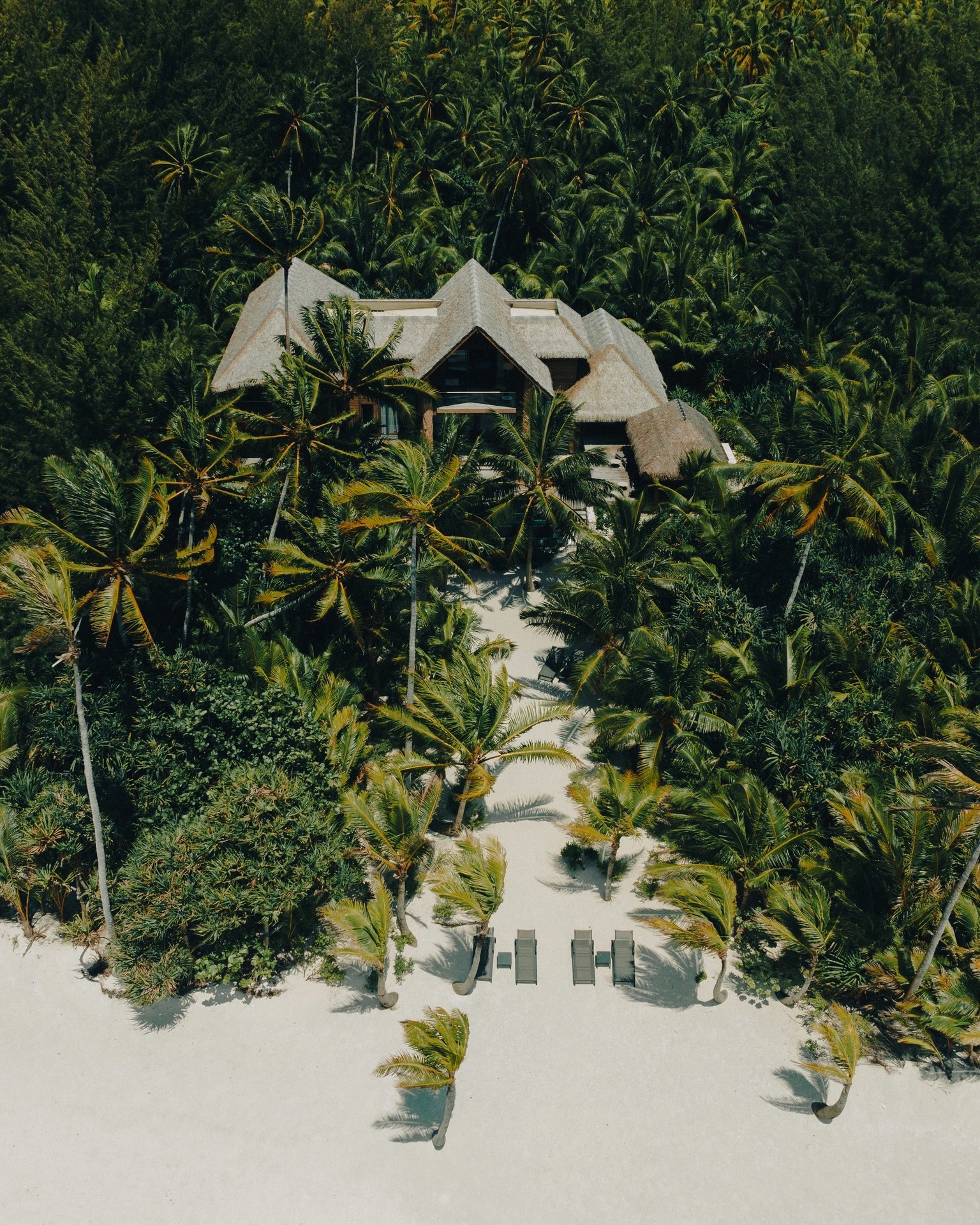 Una villa privada abrazada por la selva tropical, con su playa blanca reservada para usted solo.
En The Brando, el lujo no se exhibe: se susurra entre las palmeras.
Déjenos diseñar su escapada de excepción.
✦
A private villa embraced by tropical jungle, with its white-sand beach reserved for you alone.
At The Brando, luxury doesn't announce itself, it whispers through the palms.
Let us craft your escape of a lifetime.
📷 @thebrandoresort
#MoemoeaTravel #PolinesiaFrancesa #FrenchPolynesia #TheBrando #Tetiaroa #PrivateVilla #UltraLuxury #ExclusiveResort #EcoLuxury #BespokeTravel #LoveTahiti #SecretParadise
