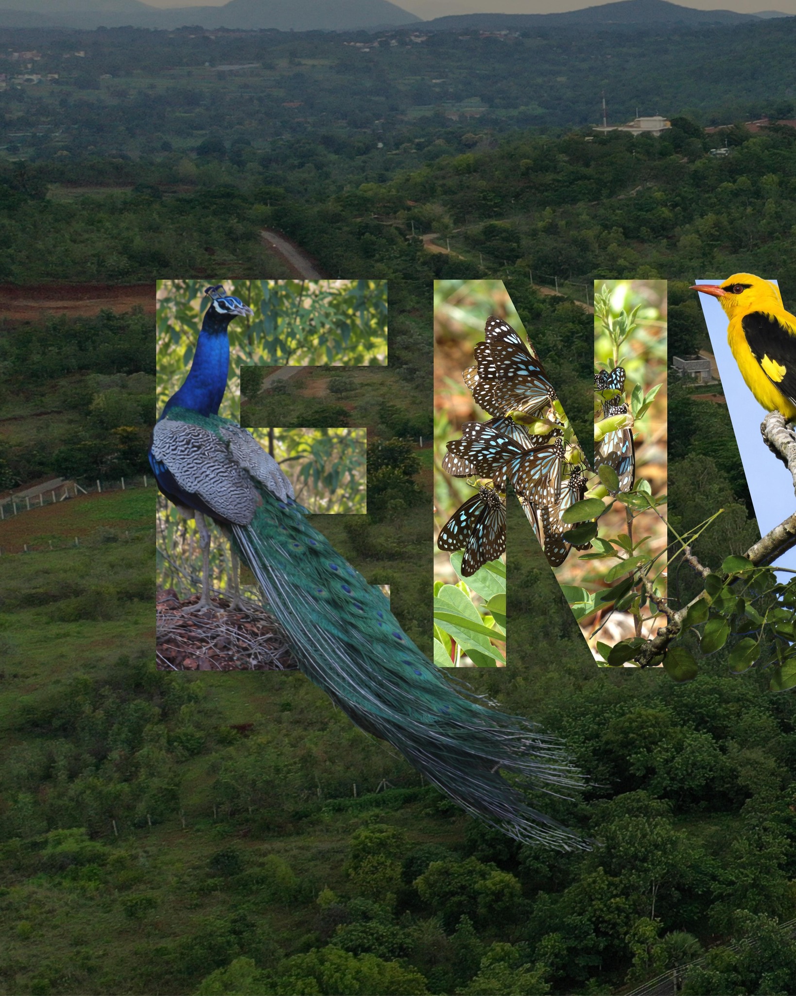 A thriving ecosystem doesn't happen overnight.
Today, the campus is home to 600+ plant species, 152 bird species, 103 butterfly species, and several rare reptiles, amphibians, and spiders made possible through years of protection, afforestation, and habitat restoration.
This World Environment Day, we celebrate the richness of nature and our responsibility to protect it.
#WorldEnvironmentDay #Biodiversity #NatureRestoration
