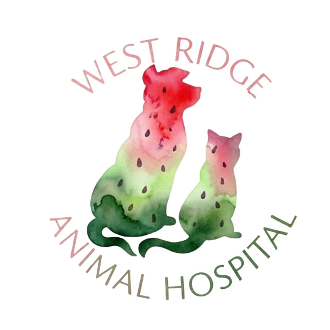 Welcome to June!
A Month of Celebration & Protection! ๐๐พ
This month kicks off several massive celebrations close to our hearts. We are proudly celebrating 2SLGBTQIA+ Pride Month, Menโs Health Month, and African-American Music Appreciation Month! Itโs also National Microchipping Month and Pet Preparedness Month. The whole team at West Ridge is dedicated to keeping our community inclusive, safe, and healthy. Stay tuned all month for great tips, celebration spotlights, and pet care hacks!
#PrideMonth #MensHealth #MicrochipYourPet #WestRidgeAnimalHospital #GreeleyVets #NoCoCommunity #westridgeanimals