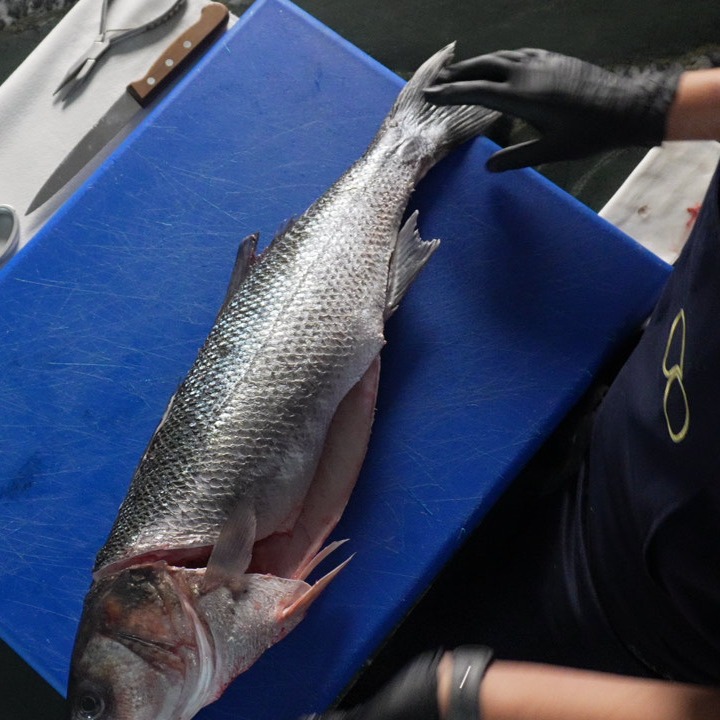 Our sea bass is selected for chefs who expect the highest standard from every delivery.
From sourcing to filleting, every fish is handled with precision to ensure exceptional freshness, texture, and consistency onboard.
Available whole or expertly prepared in-house, this is premium sea bass built to perform in high-level kitchens.
#chefsofinsta #opusprovisions #yacht #yachtchef #produce
