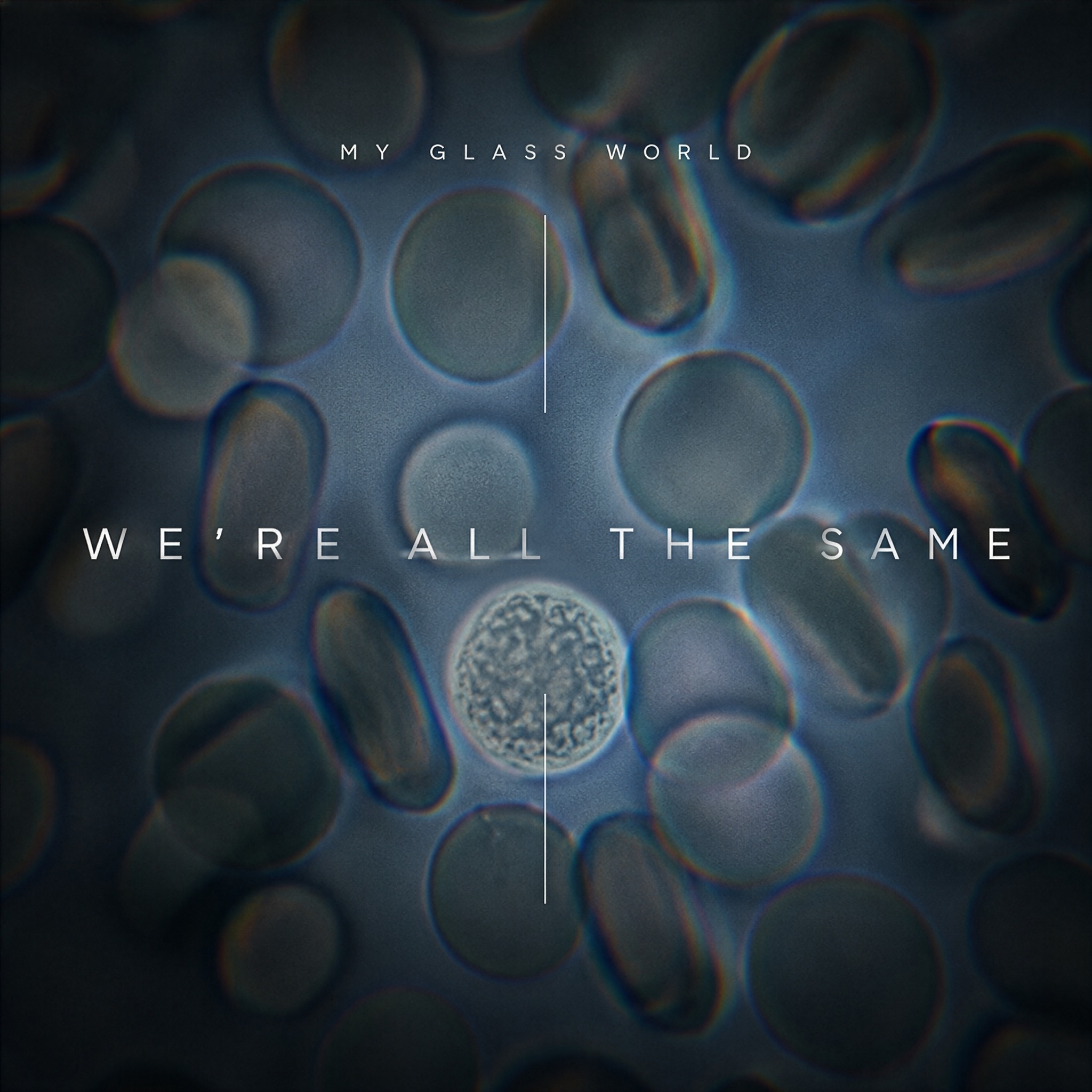 WE’RE ALL THE SAME
The first single from our forthcoming album Extraordinary Renditions arrives on 18 June.
Recorded between Scotland and London with Sean Read, Ali Friend, Martyn Kaine and Jimi Scandal.
More soon…
#myglassworld #comingsoon #wereallthesame #extraordinaryrenditions