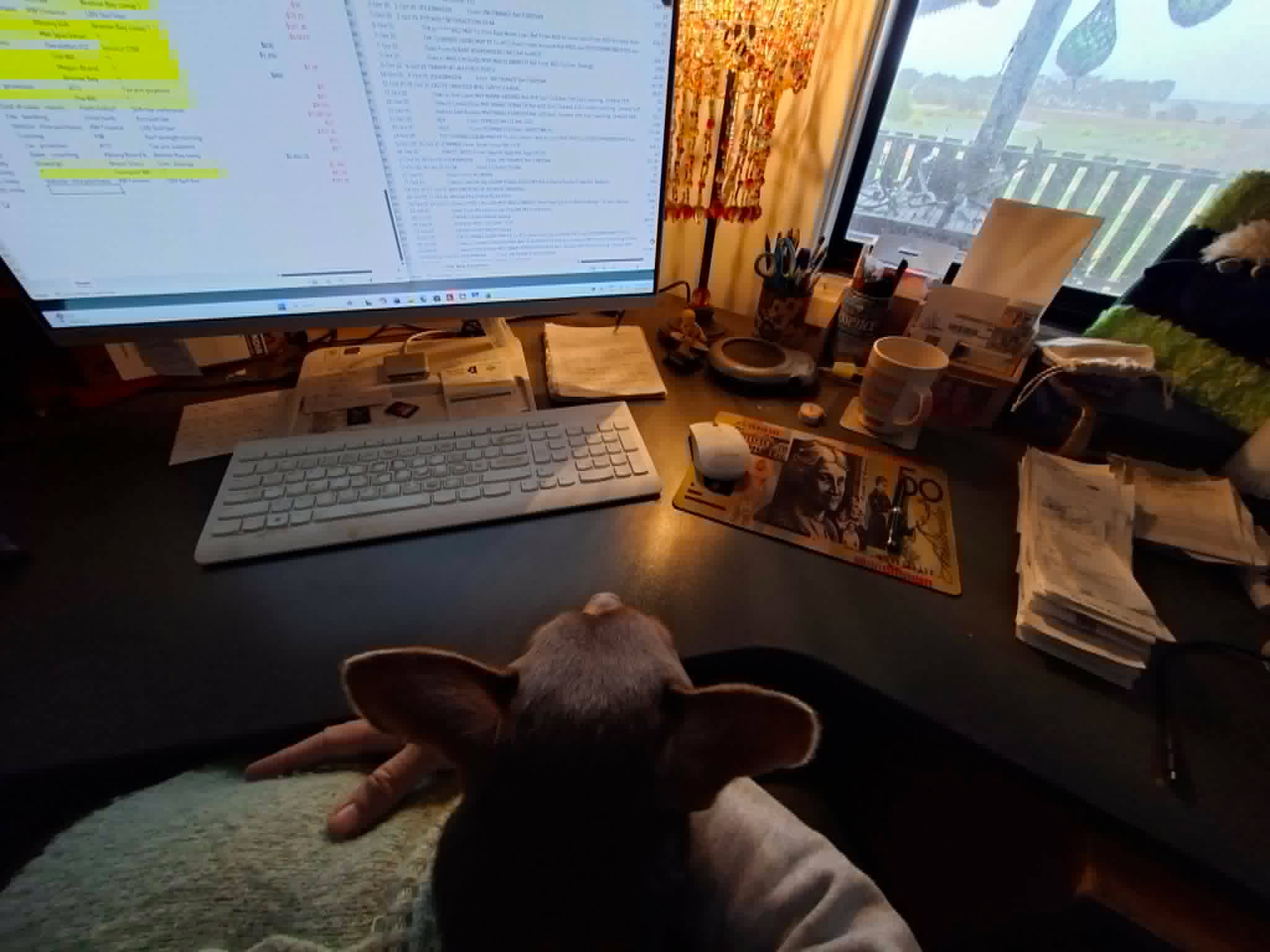 What does this little Surf Coach do on a rainy day?
Book work while cuddling a furry friend (I have no choice!).
www.aglassyday.au
M. 0447 212 010