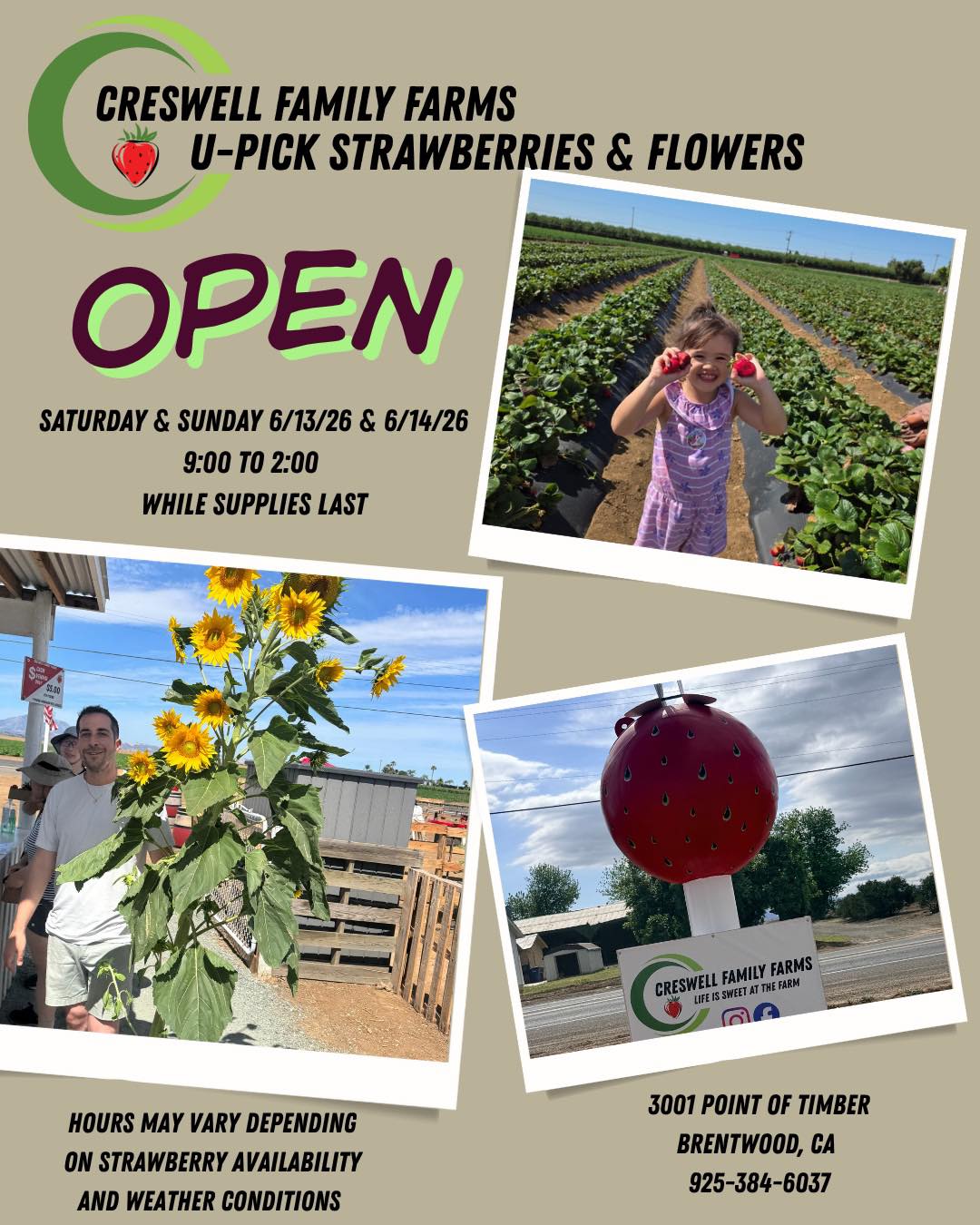 Come spend some time at the farm. Pick some strawberries and flowers πΊ π