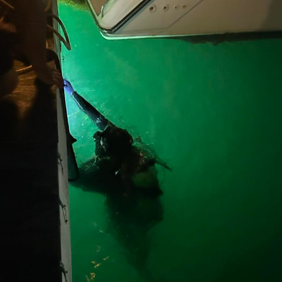 Finding a phone yesterday evening for Nicardo. I always love diving at night!
.
.
#recoverydiving #lakestclair #greatlakesstate #detroitriver #stclairshores #clintonriver #harrisontownship #boattown #algonac #stclair #metrobeach #michiganboating #puremichigan #michiganmarinas #metaldetector #safeharbormarinas #boatmichigan