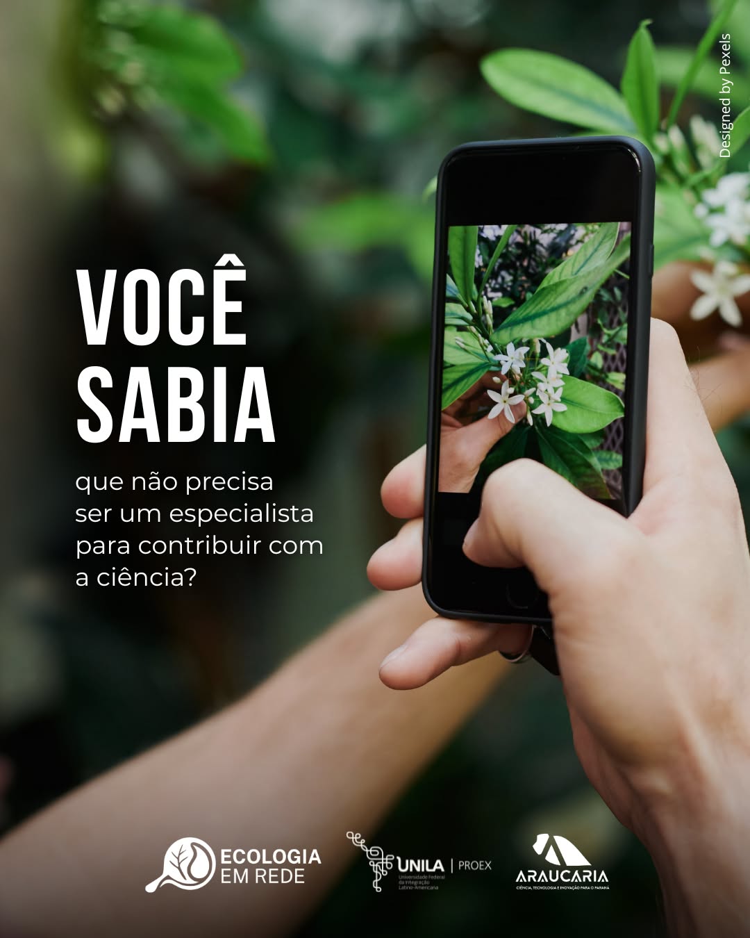 Você sabia que qualquer pessoa pode contribuir com a ciência?
Com apenas um smartphone e um olhar atento à natureza, seus registros podem ajudar pesquisadores a monitorar a biodiversidade e proteger o meio ambiente! 🌎💚
📍 Em Foz do Iguaçu e região, você também pode participar do projeto Invasoras à Vista!, ajudando no monitoramento de plantas exóticas invasoras e contribuindo para a conservação da biodiversidade local.
📖 Quer participar? Baixe gratuitamente o Guia de Campo Invasoras à Vista! pelo link na bio e aprenda a identificar espécies invasoras na sua região.
Quer levar o projeto para a sua escola ou instituição? Entre em contato pelo e-mail:
plantasinvasorasunila@gmail.com
Faça parte dessa rede! 🌱✨
#cienciacidada #plantasinvasoras #biodiversidade #conservacao #educacaoambiental