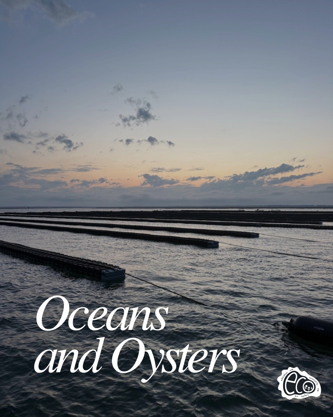June is World Ocean Month, and yesterday we recognized World Ocean Day! Yet, every day is an opportunity to appreciate the beauty, resilience, and importance of our oceans.
From the salt marsh to the open sea, oysters play a vital role in keeping coastal ecosystems healthy. As natural filter feeders, they help improve water quality, create habitat for marine life, and support stronger, more resilient shorelines. Oysters are more than a culinary delicacy, they are ecosystem engineers that help sustain the waters we love.
At the heart of our work is a commitment to connecting people with these incredible ecosystems. Through education, community engagement, and oyster aquaculture, ECO helps inspire environmental stewardship and a deeper appreciation for our coastal waters and the communities that depend on them.
This month, join us as we celebrate the ocean and the oysters that support it! 🌊🦪