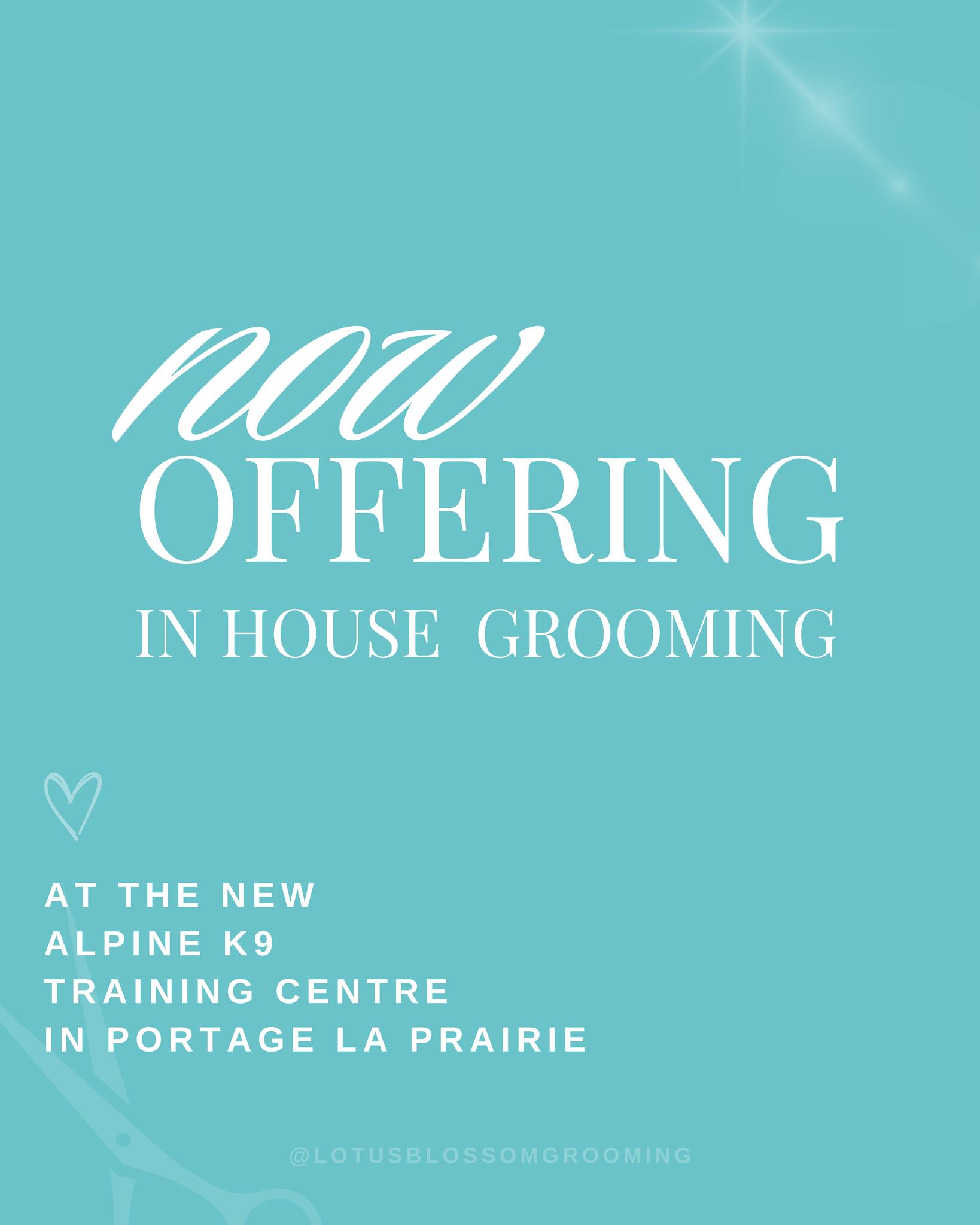 I’m so excited to share that Lotus Blossom Grooming is now offering in-house services at the @alpinek9_training, 75 4th Ave NE, Portage la Prairie.
This new space allows me to offer calm, comfort-focused grooming in a clean, structured environment designed to help dogs feel safe, relaxed, and cared for 🐾
I’d love to invite you to our Open House
📅 June 28
⏰ 12:00–3:00
🐾 Nail trims will be available - small donation fee*
Limited to the first 5 dogs to ensure quality and a calm, unhurried experience for each pup
Come by, meet Grayson and our other in-house groomer Shayne from @beausbarkbar, and take a look at the space.
For grooming: Rabies, Parvo, and Distemper vaccines are required. Please bring a copy of your vaccination records or have your vet send them directly to us.
To book or send documents:
📧 lotusblossomgrooming@gmail.com
📱 204-290-4880
✨ Official opening day: July 1, by appointment only
I can’t wait to welcome you and your dogs into this next chapter of Lotus Blossom Grooming 💛
#LotusBlossomGrooming #PortageLaPrairie #DogGroomingManitoba #AlpineK9 #OpenHouseEvent