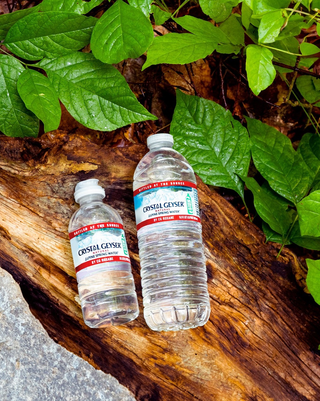 Meant to be enjoyed as Nature intended, from a protected natural spring. 💧
That’s the Alpine Difference. 🏔️
#CrystalGeyser #AlpineSpringWater #BottledAtTheSpringSource #StayHydrated