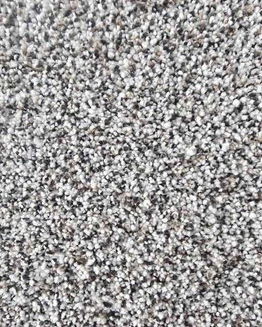Nothing adds comfort to a home quite like new carpet. At House of Decor, we offer a wide selection of high-quality carpet in a variety of colors, textures, and styles to fit any room and budget.
From cozy bedrooms to busy family rooms, our flooring experts can help you find the perfect carpet for your home. Serving Rochester, Fulton County, and Northern Indiana with professional flooring sales and installation.
Visit our showroom to explore carpet samples and discover the perfect flooring for your space.