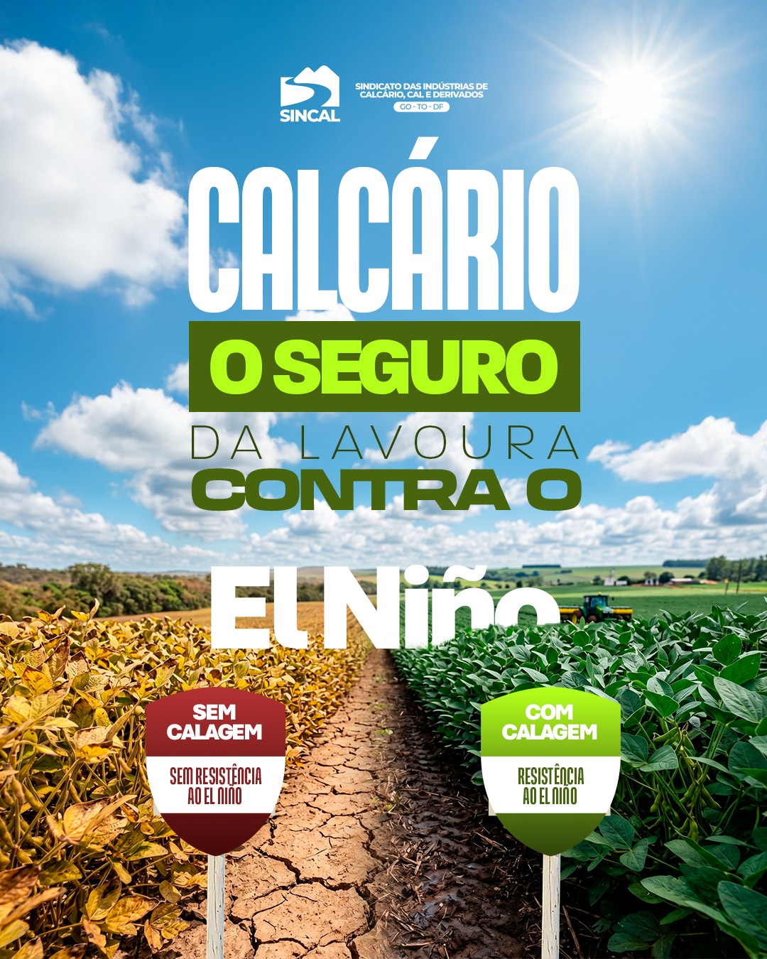 Sol ou chuva extrema? O seu seguro está no solo. 🚜🌱
O El Niño traz incertezas e desafios climáticos que podem comprometer a produtividade da sua lavoura. Mas a resposta para proteger o seu investimento começa de baixo: com a calagem.
Como mostra a imagem, um solo bem corrigido com calcário desenvolve raízes mais profundas e fortes, garantindo a resistência necessária para enfrentar períodos de estresse hídrico e variações climáticas severas.
Não deixe a sua safra desprotegida. Invista no calcário e garanta a segurança que a sua plantação precisa!
#SINCAL #Calcario #Calagem #Agronegocio #Produtividade #ElNiño #ManejoDeSolo #Agricultura