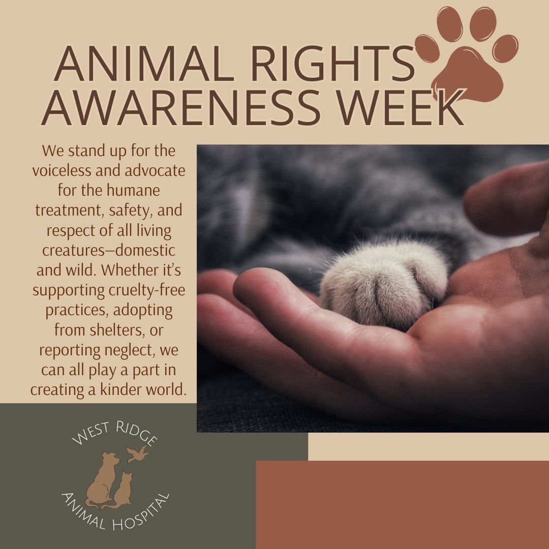 Today marks the beginning of Animal Rights Awareness Week. This week, we stand up for the voiceless and advocate for the humane treatment, safety, and respect of all living creatures—domestic and wild. Whether it’s supporting cruelty-free practices, adopting from shelters, or reporting neglect, we can all play a part in creating a kinder world.
#AnimalRightsAwareness #BeTheirVoice #AnimalWelfare #Compassion #westridgeanimals