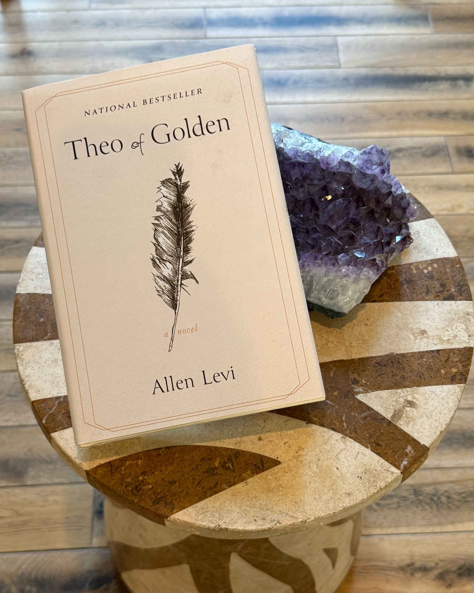 Currently reading 'Theo of Golden' by @allenlevi. ๐คฉ๐
What book are you diving into this summer?