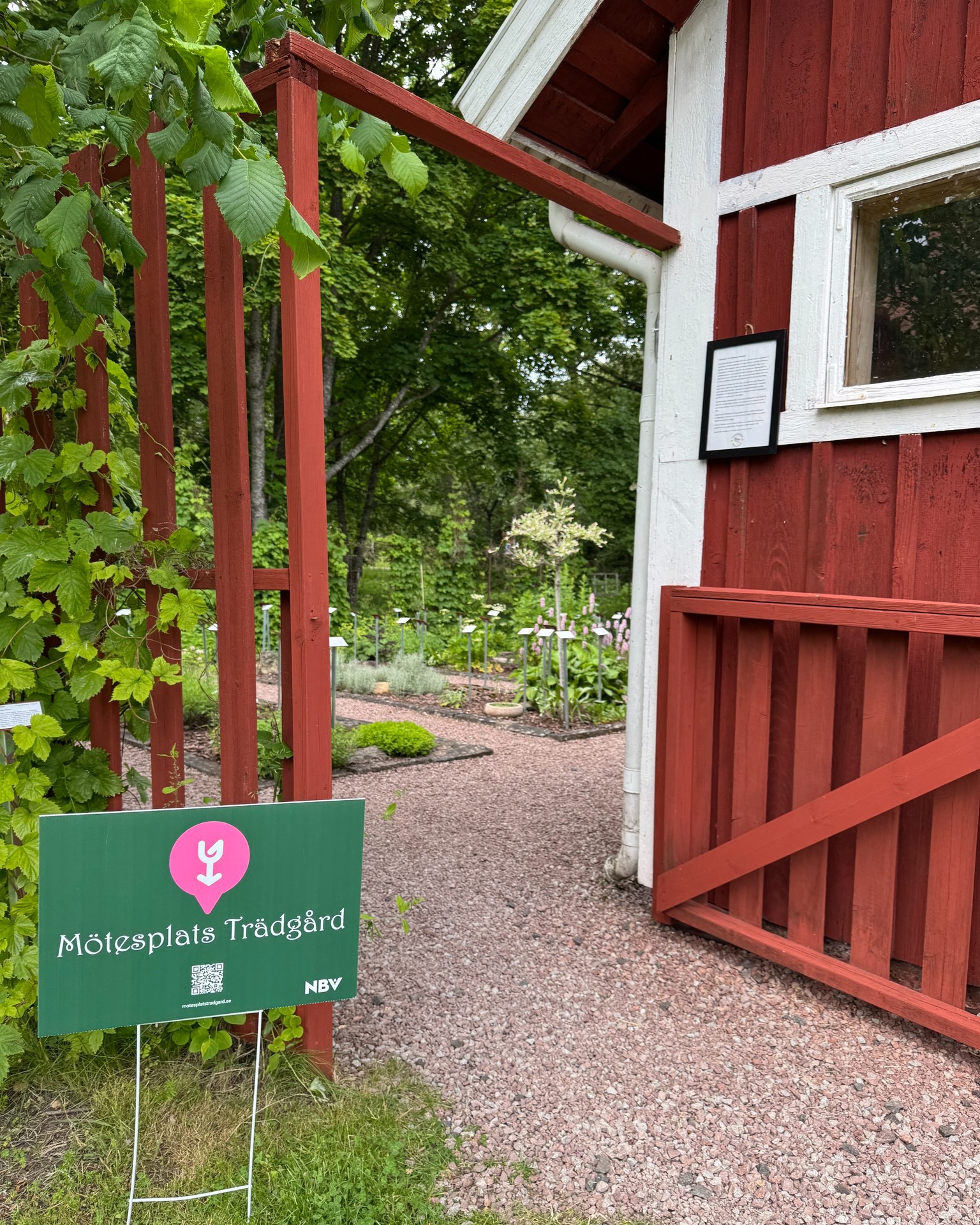 Imorgon är det dags för Mötesplats Trädgård och Örtagården på Falkängen är med även i år! 🌿
Tyvärr har Rosalie fått förhinder och kan inte vara på plats men du är varmt välkommen att upptäcka örtagården på egen hand. Varje ört är märkt med en skylt som berättar om dess traditionella användningsområden och läkande egenskaper.
Välkommen till en vandring bland örterna! 🌱
#mötesplatsträdgård #örtagårdenfalkängen ##falkangenkinnekulle