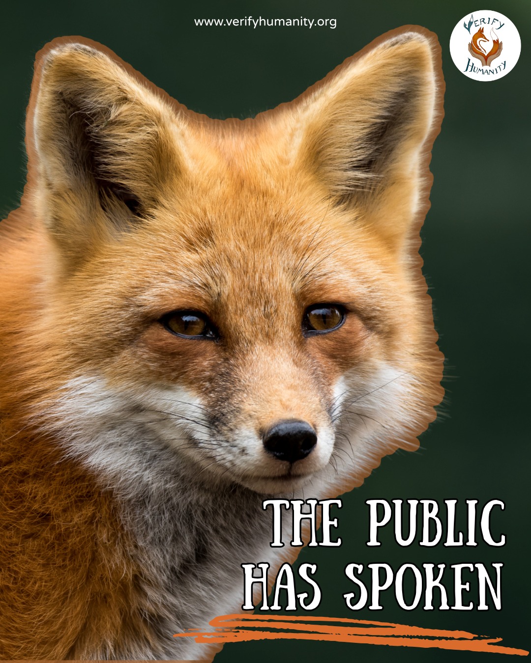 🦊 The public has spoken.
A poll of 1,100 people, conducted by Find Out Now, explored public views on the Government's consultation on trail hunting and whether wider reforms to fox hunting laws are needed.
The poll was conducted amid concerns that fox hunting continues through loopholes, while Defra's consultation is limited to trail hunting and excludes wider Hunting Act reforms.
The findings suggest strong public support for stronger action to protect foxes, with many respondents wanting the Government to go beyond a ban on trail hunting and consider broader reforms to the Hunting Act 2004.
📊 Poll Results:
- 60.3% say the government should take action to end fox hunting.
- 53% say the government should consider broader changes to the Hunting Act.
- 24.4% are less likely to vote for Labour next time if hunting is still happening.
- Only 17.8% are aware of the government consultation on banning fox hunting.
One of the most striking findings is that fewer than 1 in 5 people surveyed knew the consultation was taking place. Public consultations can only reflect public opinion when people are aware of them and able to take part.
If you believe wildlife deserves better protection:
🧡 TRAIL HUNTING DEADLINE – 18TH JUNE 2026
🧡 Go to the Verify Humanity website and use our simple guide to respond to the consultation https://www.verifyhumanity.org/government-consultations-wildlife
🧡 Share this post
@thenewhuntingban
#animalwelfare #foxes #wildlifeprotection #animaladvocacy #bantrailhunting
Source
The New Hunting Ban, Public backs tougher fox hunting laws as trail hunting consultation fails to cut through (19 May 2026) https://thenewhuntingban.com/news/public-backs-tougher-fox-hunting-laws-as-trail-hunting-consultation-fails-to-cut-through
Government Consultation https://www.verifyhumanity.org/government-consultations-wildlife