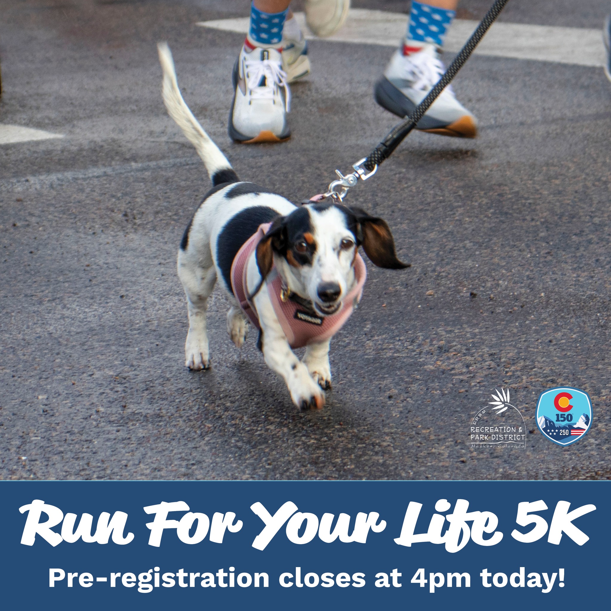 If this little pup can do it, you can do it, too! 🏃♀️🐶🏃
Sign up for tomorrow's 5K by 4:00pm TODAY to save $10 on your registration! ▶▶▶erbmrec.com/5k
