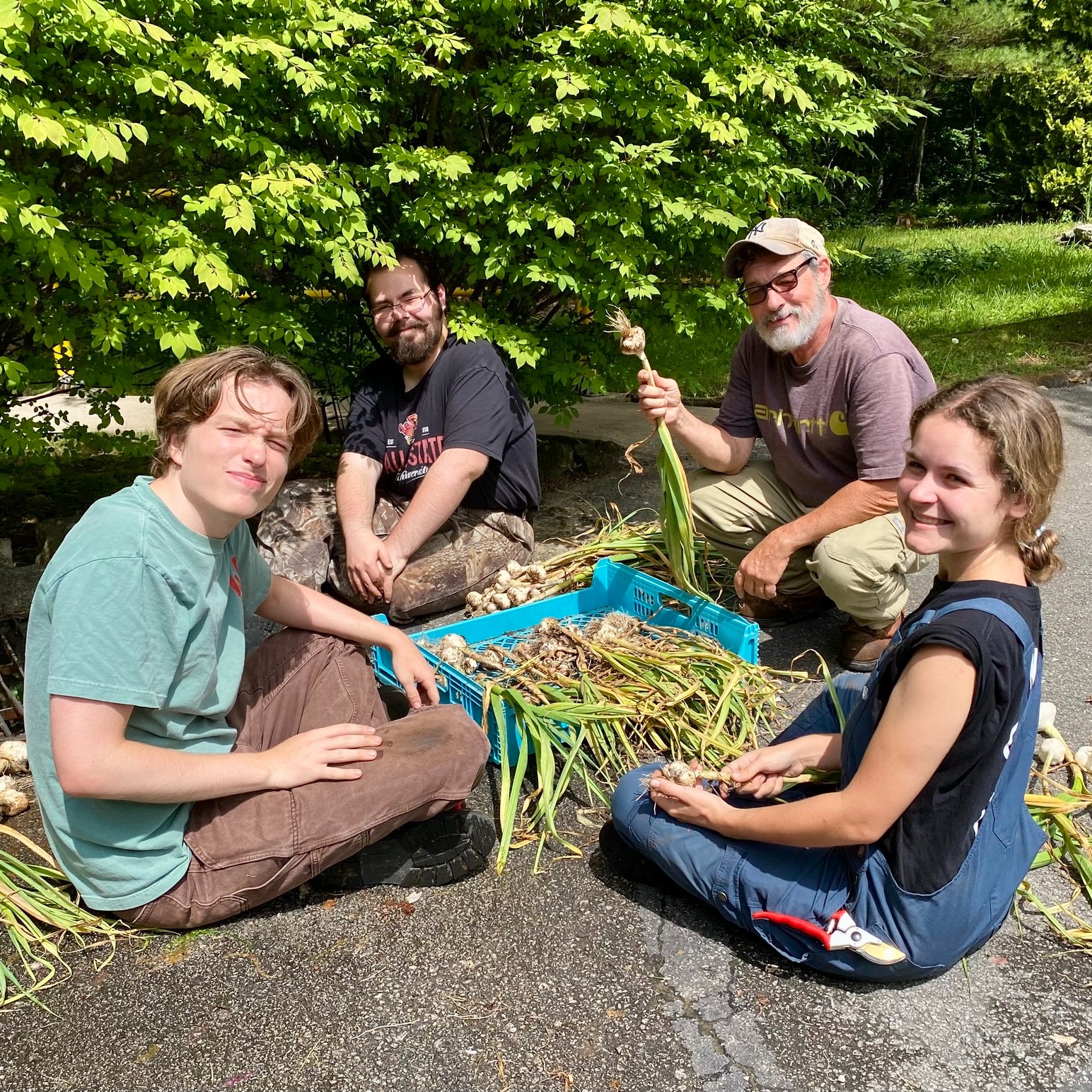 Today our summer interns and Paul harvested cucumbers, garlic, and red onions from our organic garden. They also got to see the first sunflower of the season! Thanks for their hard work.