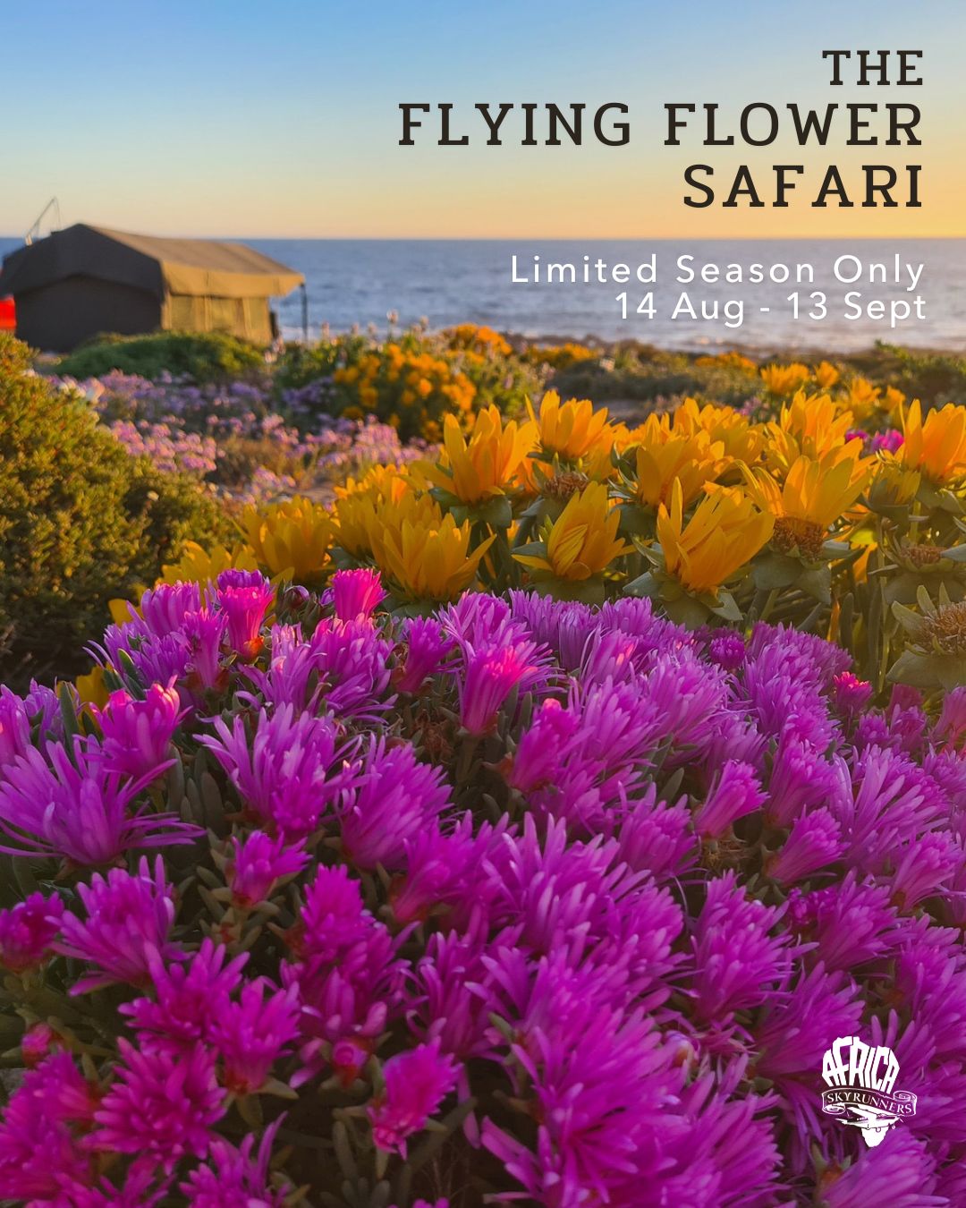 Introducing our new, limited season only, Flying Flower Safari 🌼
A rare overnight aviation adventure into Namaqualand’s world-famous flower season. Season to book: 14 August – 13 September.
Fly by private aircraft from Stellenbosch along the West Coast, taking in sweeping views of dunes, lagoons, fishing villages and Namaqualand’s open landscapes before landing near the flower fields.
Day 1 includes a guided Namaqualand flower safari with a personal expert guide, time for photography, a picnic among the blooms, sundowners overlooking the Atlantic Ocean, and a three-course dinner under the stars at Chiefs Tented Camps’ Namaqua Flower Camp.
Day 2 begins with coffee and breakfast at camp, followed by more time exploring the seasonal blooms, lunch at an authentic West Coast seafood restaurant in Hondeklipbaai, and a scenic return flight to Stellenbosch.
Bookings are available for a limited period only: 14 August – 13 September.
📩 To book: info@africaskyrunners.com
✈️ Africa Sky Runners — Come fly with us!
#AfricaSkyRunners #FlyingFlowerSafari #NamaqualandFlowers #FlowerSeason #PrivateFlyingSafari #WestCoastSouthAfrica #AviationAdventure #LuxuryTravelSA #ChiefsTentedCamps #NamaquaFlowerCamp