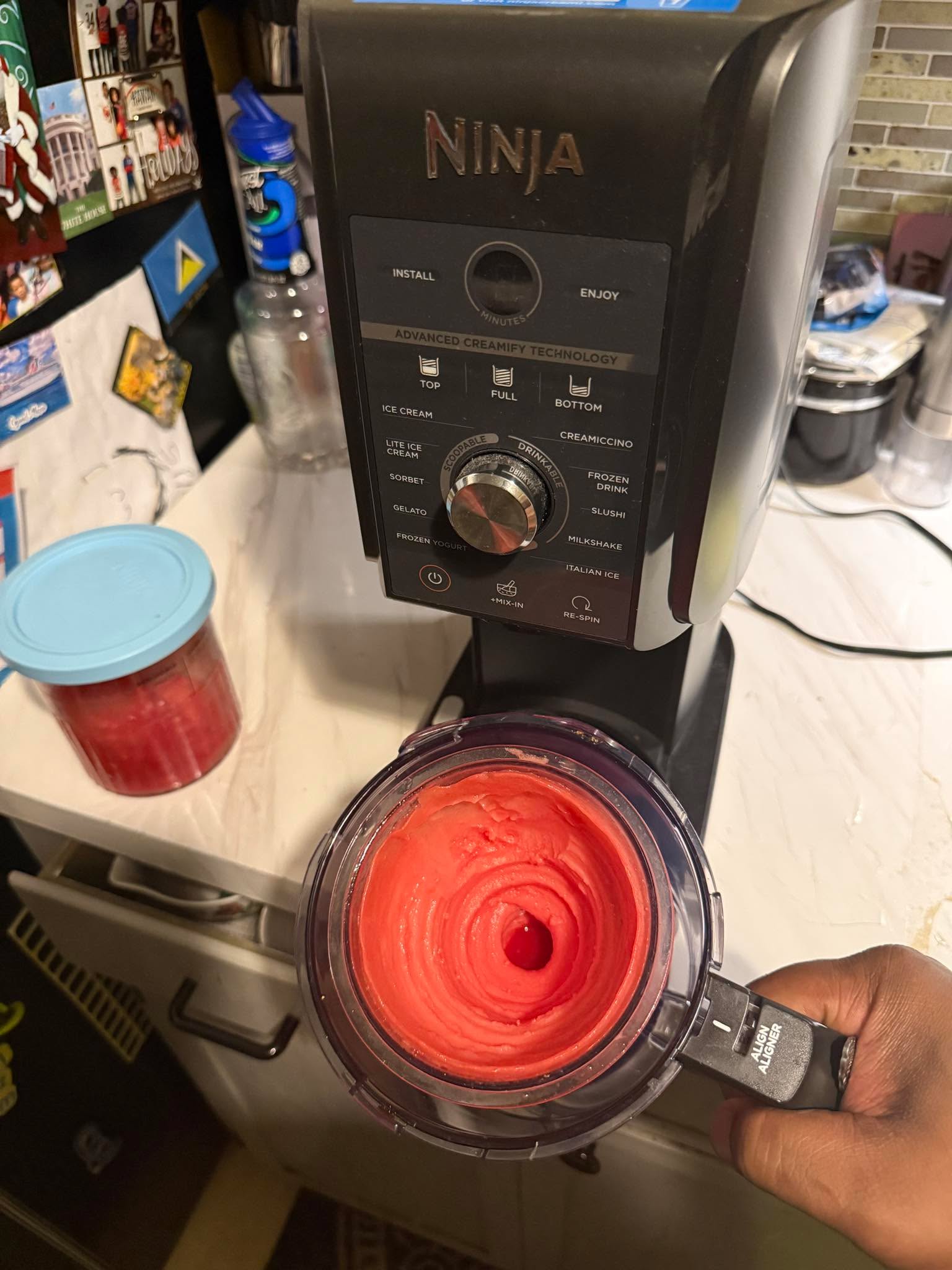 dear Trina Bee I made you some watermelon Sorbet