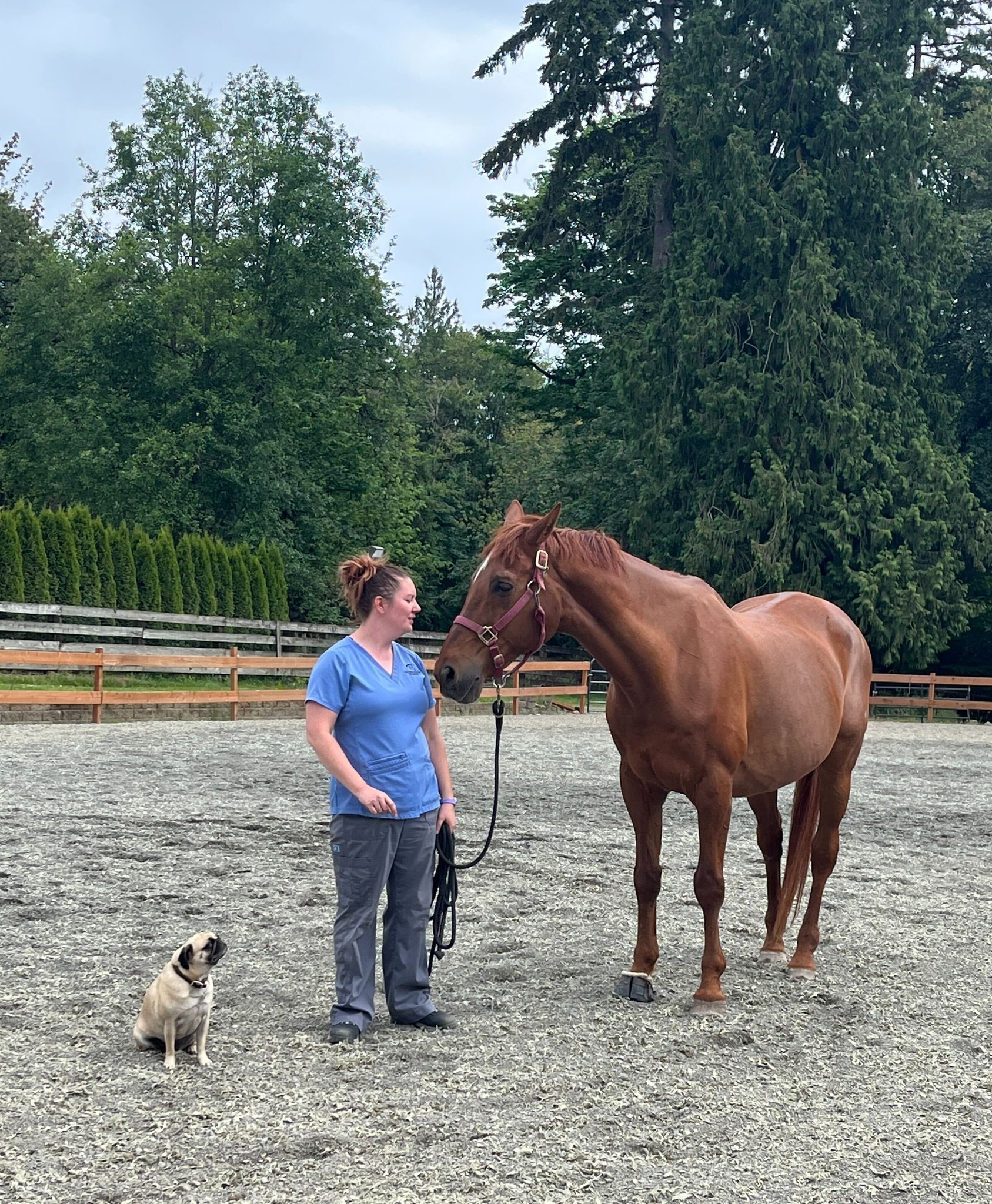 *Caption This*
Just a day-in-the-life of a vet assistant's assistant 🐾