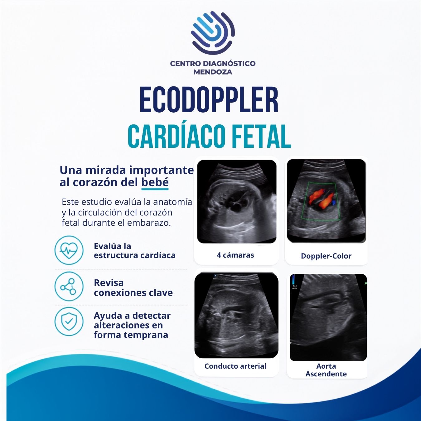 ❤️ Ecodoppler cardíaco fetal: una mirada importante al corazón del bebé
Durante el embarazo, evaluar el corazón fetal nos permite conocer mejor su anatomía y cómo circula la sangre dentro de sus cavidades y grandes vasos.
A través de distintos cortes ecográficos, observamos estructuras clave como:
🔹 Vista de 4 cámaras
🔹 Agujero oval
🔹 Conducto arterial
🔹 Aorta y tractos de salida
🔹 Flujo sanguíneo con Doppler color
El Doppler color aporta información muy valiosa, ya que permite ver la dirección del flujo sanguíneo y ayuda a detectar posibles alteraciones en forma temprana.
✅ Es un estudio no invasivo
✅ Seguro durante el embarazo
✅ Útil para el seguimiento del bebé
En Centro Diagnóstico Mendoza, contamos con tecnología y profesionales especializados para acompañarte en cada etapa del embarazo.
📲 Consultanos y reservá tu turno.
#CentroDiagnósticoMendoza #CDM #EcodopplerFetal #EcografíaFetal #CorazónFetal #DopplerColor #Embarazo #ControlPrenatal #DiagnósticoPorImágenes #Mendoza #Obstetricia #SaludFetal