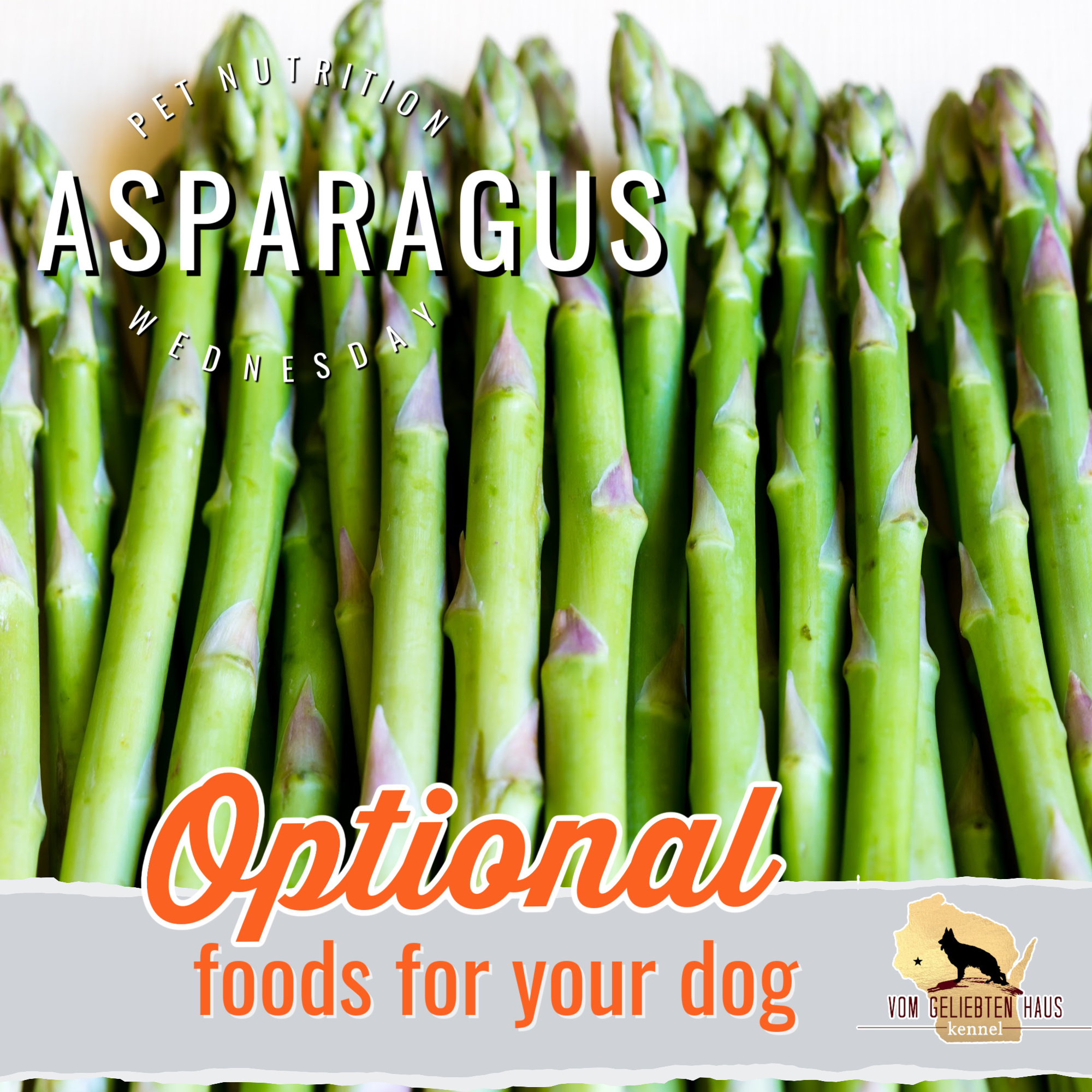 Pet Nutrition Wednesday: Asparagus 🌱
Did you know asparagus can be a safe and nutritious snack for dogs?
This spring vegetable is low in calories and packed with beneficial nutrients, including:
• Fiber to support healthy digestion
• Vitamins A, C, E, and K
• Folate and antioxidants
• Minerals such as iron and potassium
While asparagus isn't a necessary part of a dog's diet, it can be offered occasionally as a healthy treat. For best results, lightly steam or cook it to make it easier to chew and digest. Avoid adding butter, oils, garlic, onions, or seasonings.
A few things to remember:
🐾 Serve in small, bite-sized pieces.
🐾 Introduce gradually to avoid digestive upset.
🐾 Some dogs love it, while others aren't impressed by the taste.
At Vom Geliebten Haus, we believe whole foods can be a wonderful addition to a balanced diet. Fresh vegetables like asparagus provide variety, enrichment, and nutritional benefits when fed appropriately.
Has your dog ever tried asparagus? Did they love it or leave it behind? Tell us below! 👇
#PetNutritionWednesday #VomGeliebtenHaus #GermanShepherdLife #DogNutrition #HealthyDogTreats #NaturalDogCare #GermanShepherds #HealthyDogs #WholeFoodNutrition #CanDogsEatAsparagus